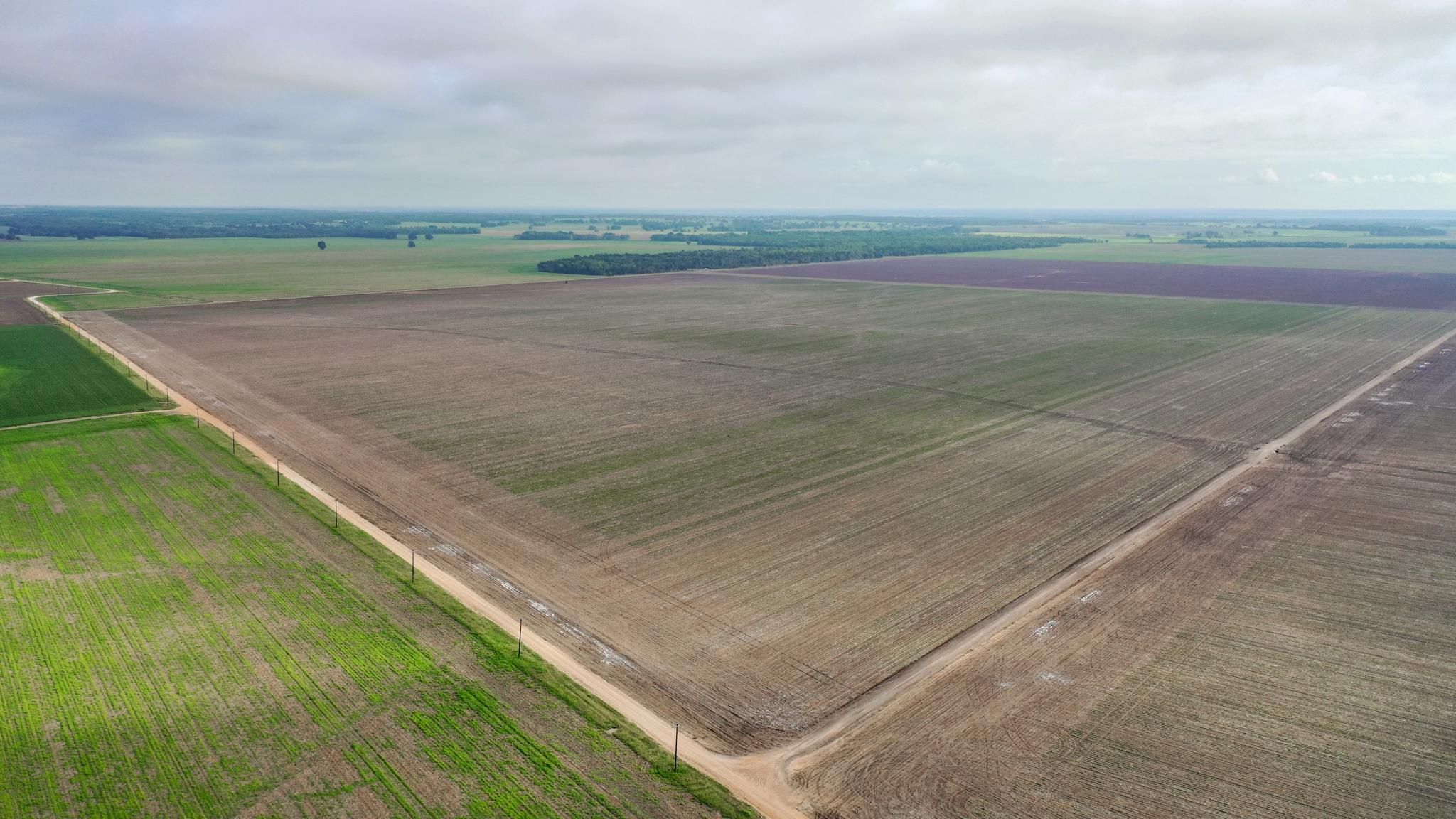 89.23 acres in Milam County, Texas