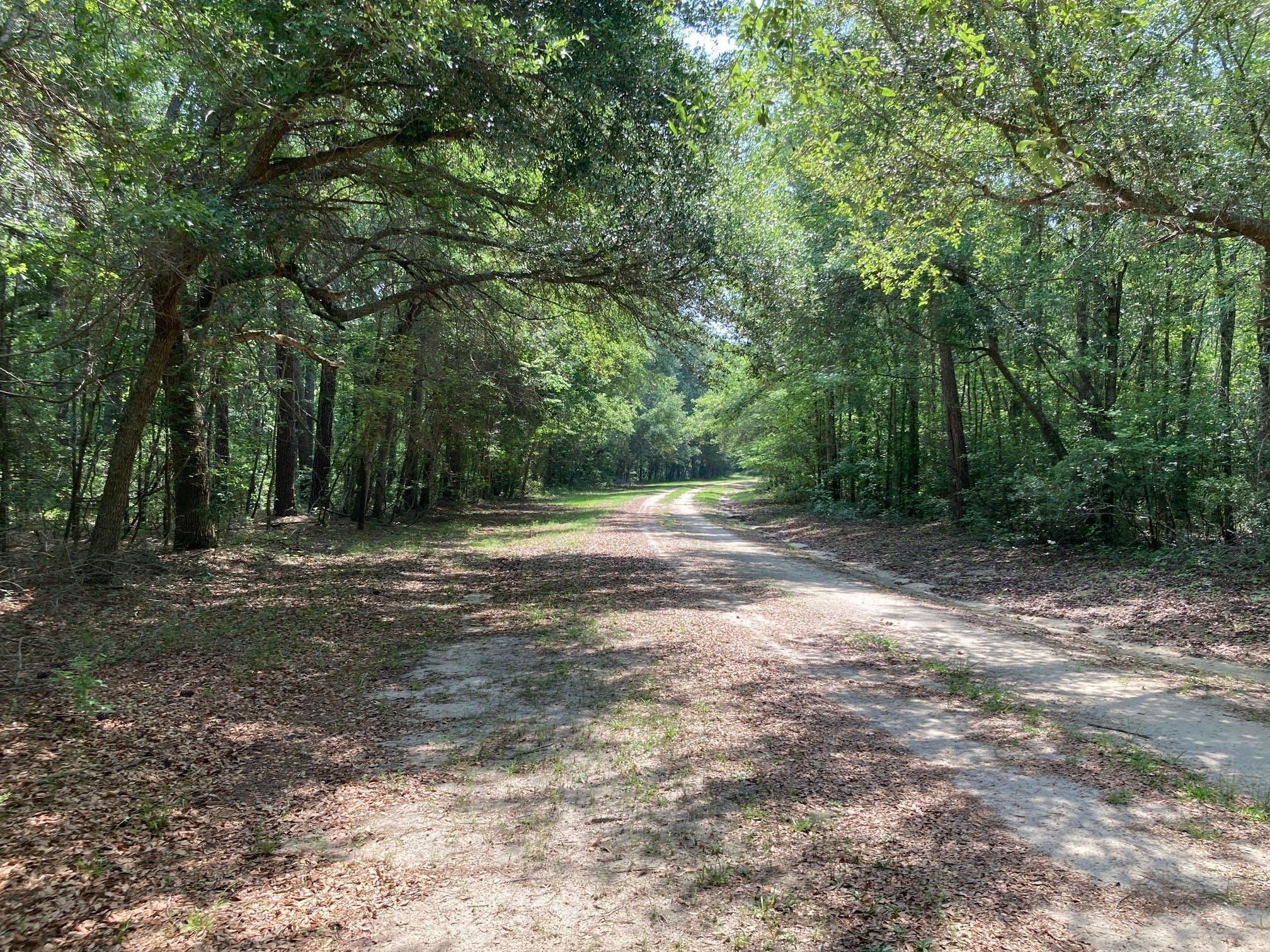 1,345 acres in Clarendon County, South Carolina