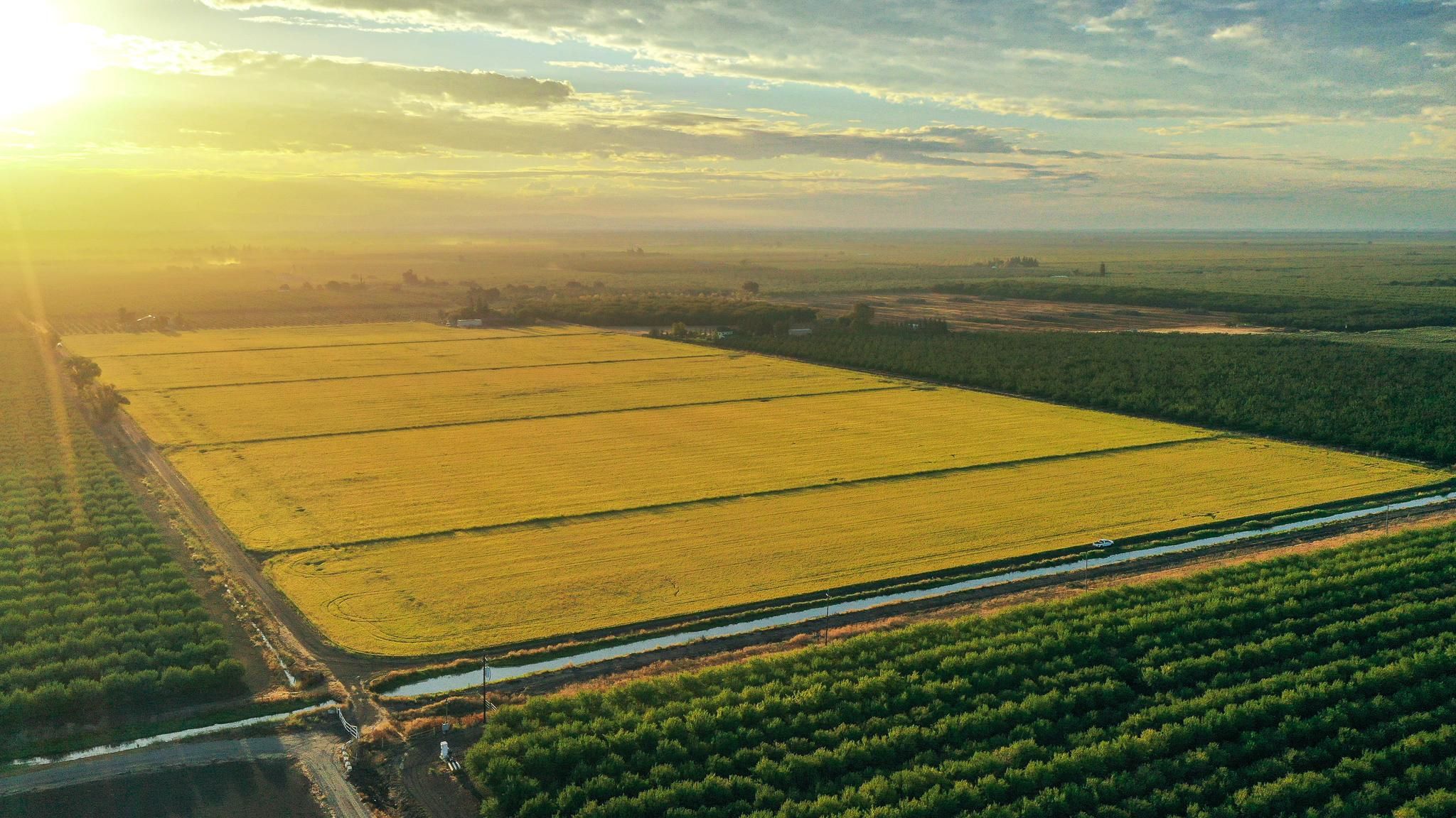 80 acres in Butte County, California