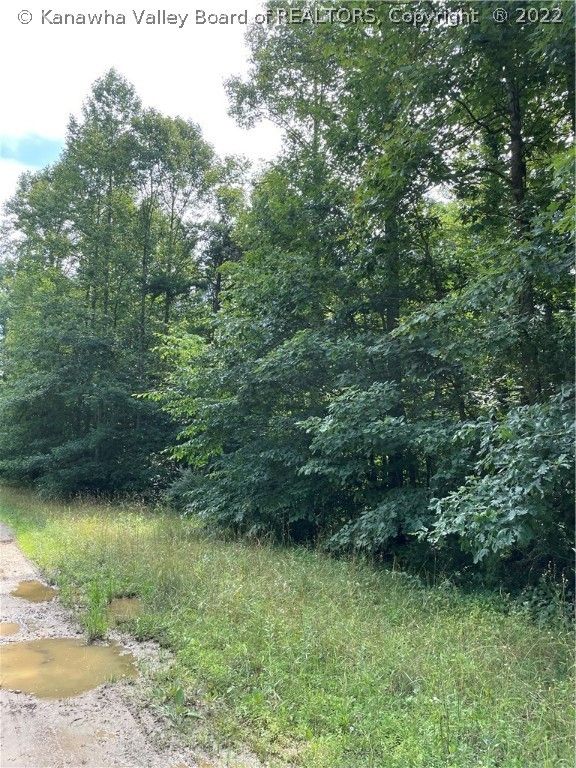 3 acres in Mason County, West Virginia