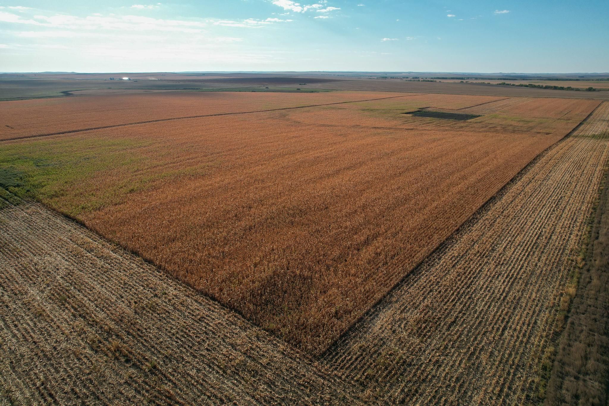 160 acres in Tripp County, South Dakota