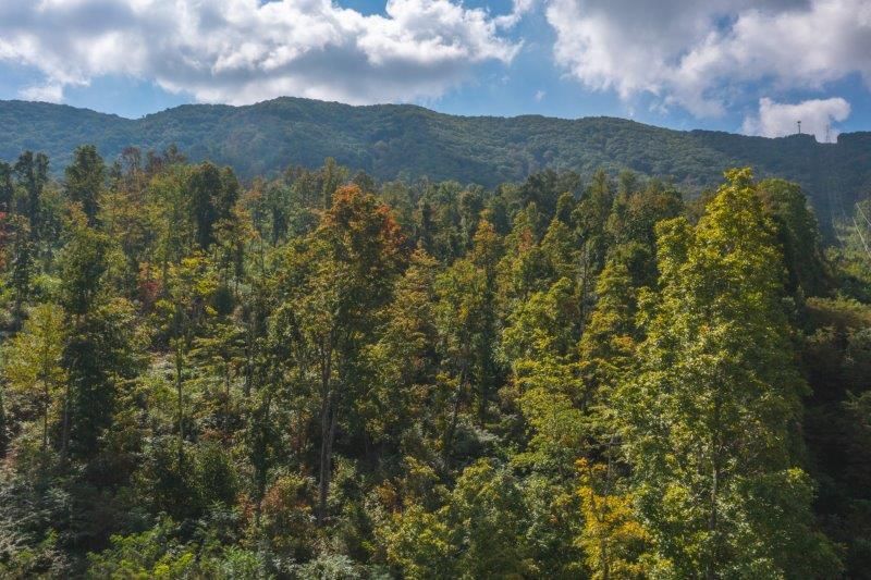 247.75 acres in Giles County, Virginia