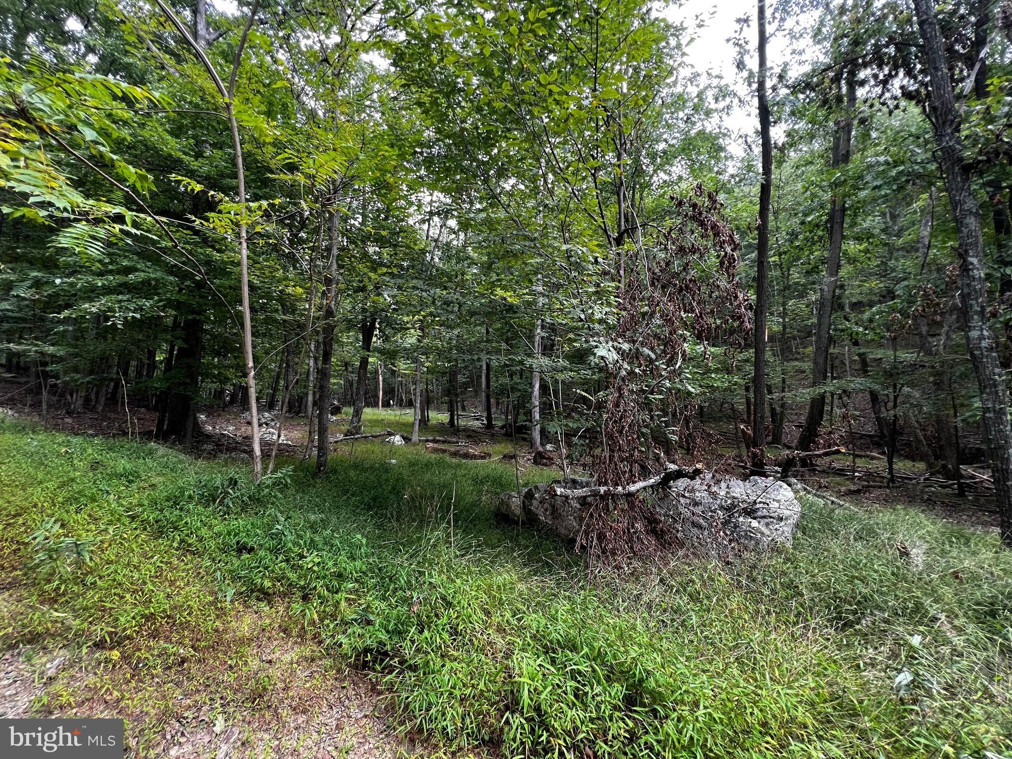 36.98 acres in Hardy County, West Virginia