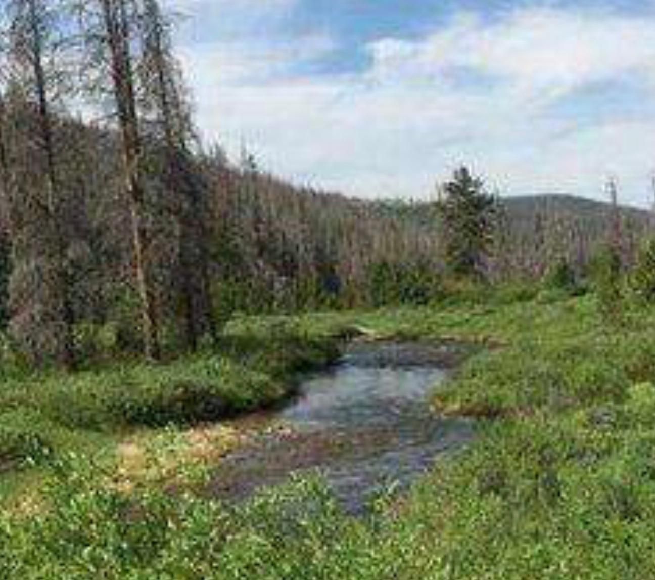 20 acres in Eagle County, Colorado