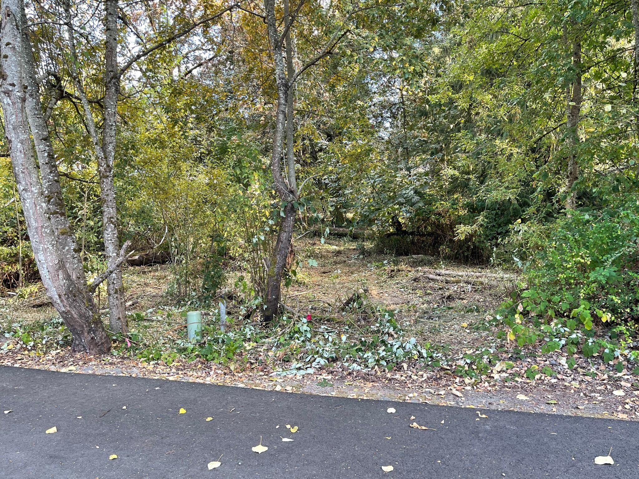 3105 87th Ave Ct E, Edgewood, WA 98371 MLS 1989947