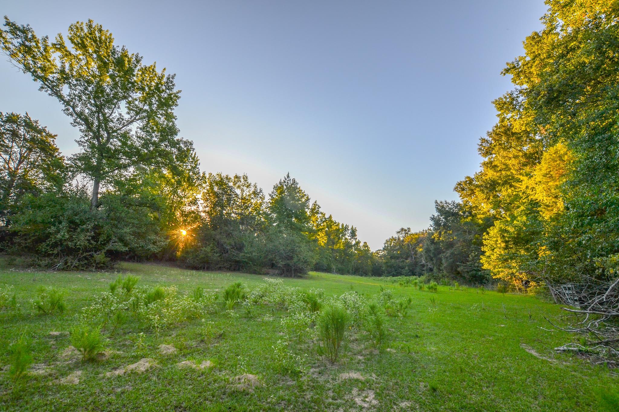 10.25 acres in Henderson County, Texas