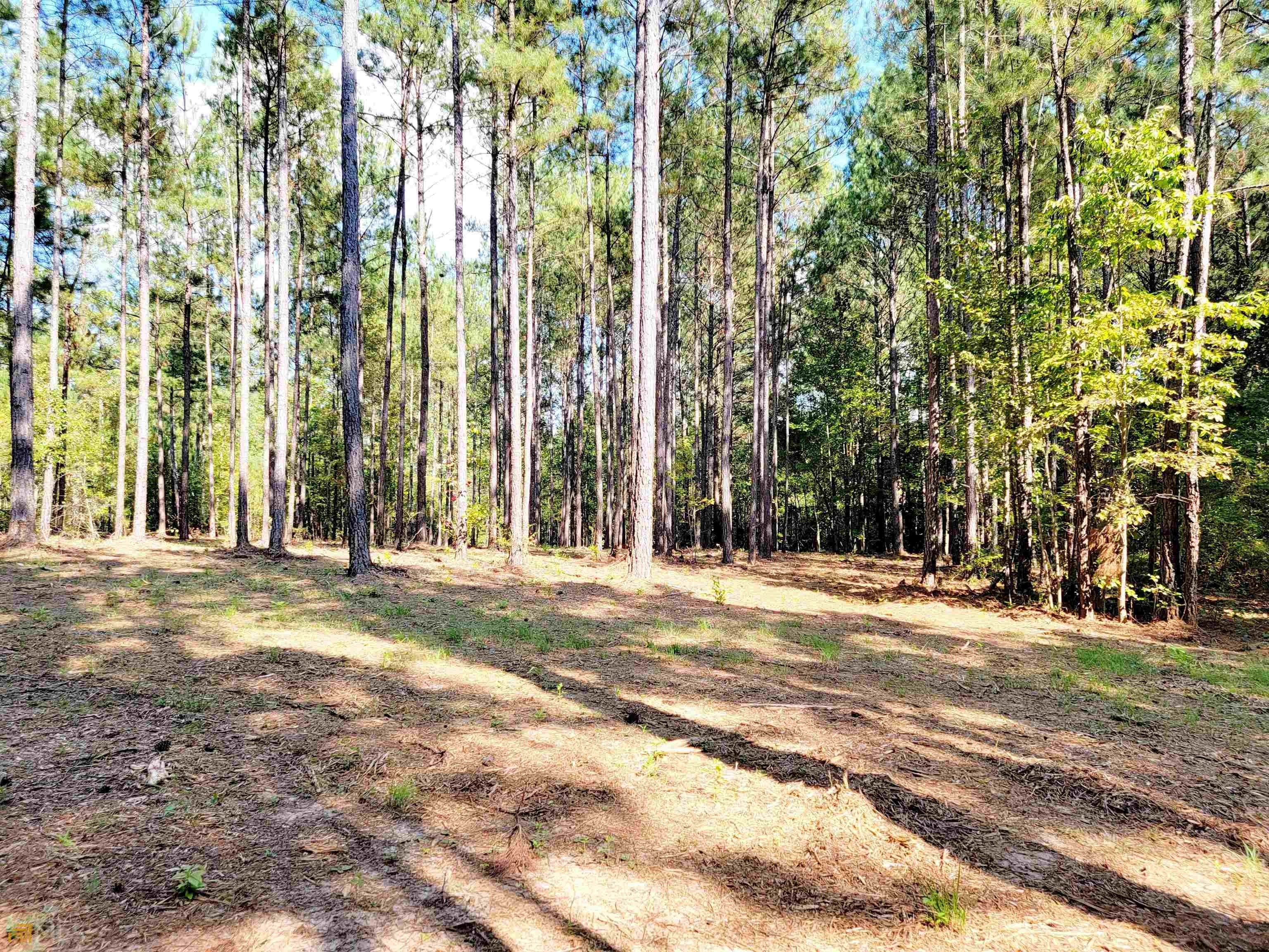 3 acres in Heard County,