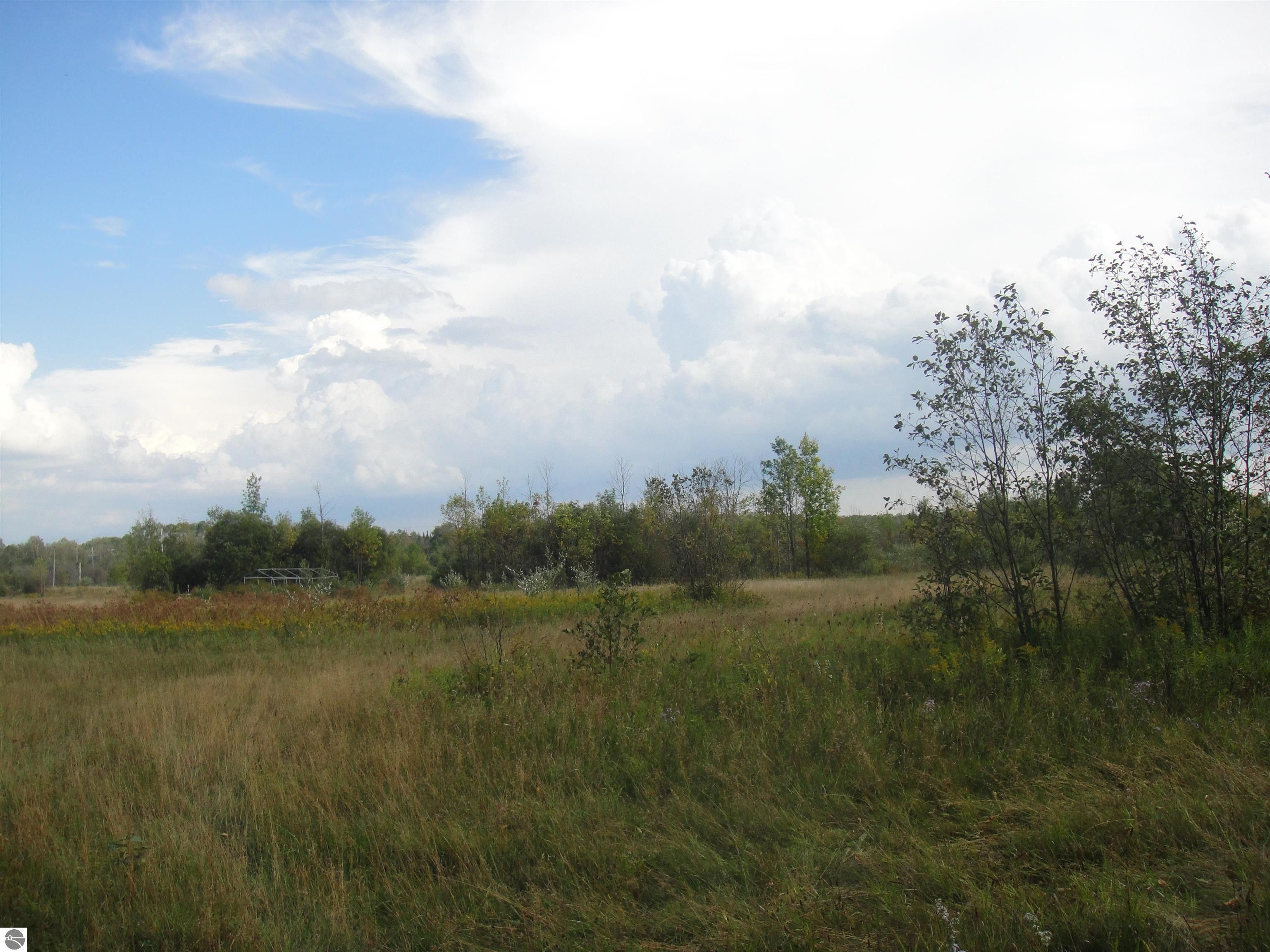 20 acres in Alcona County, Michigan