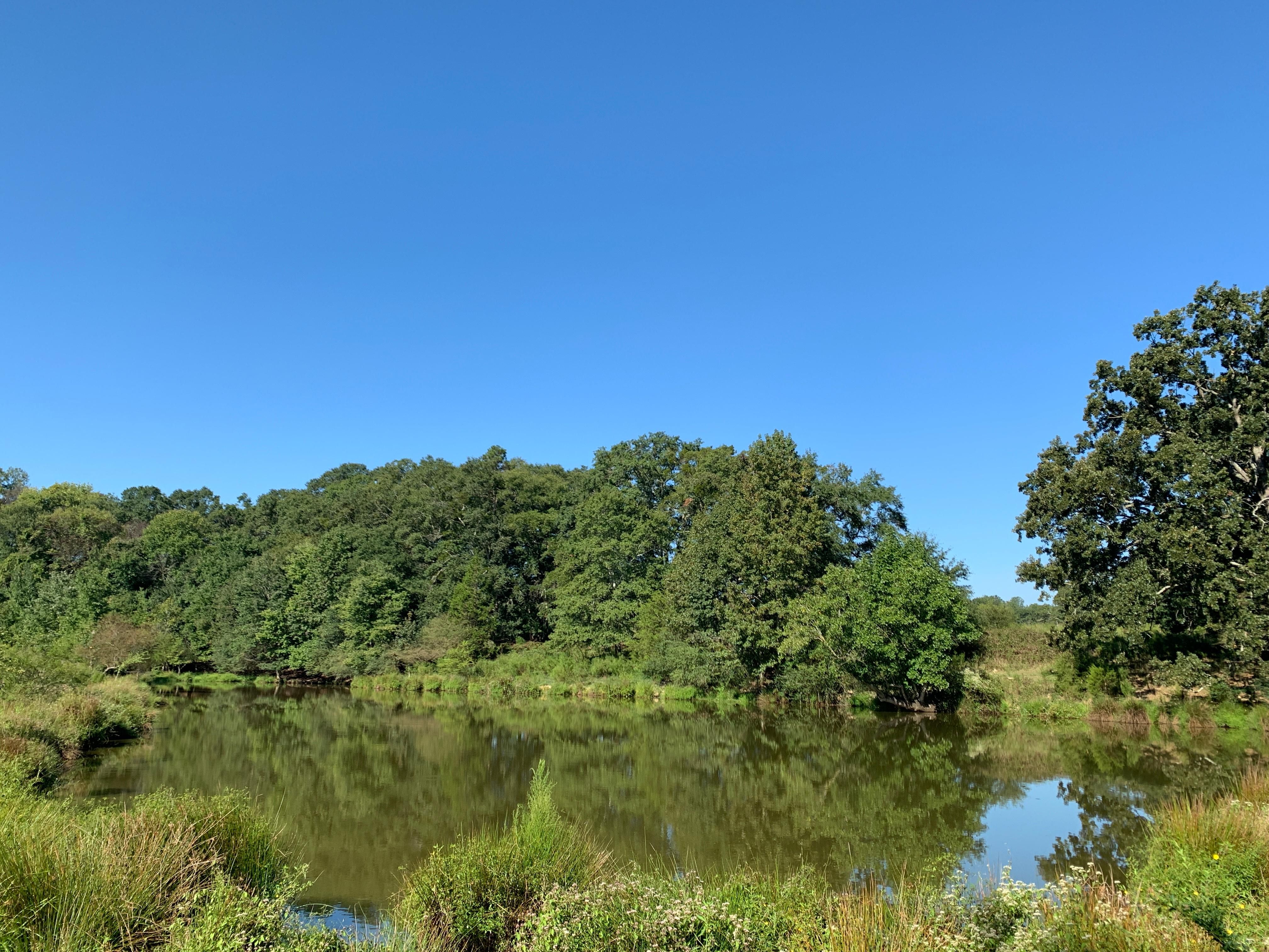 114.41 acres in Hart County,