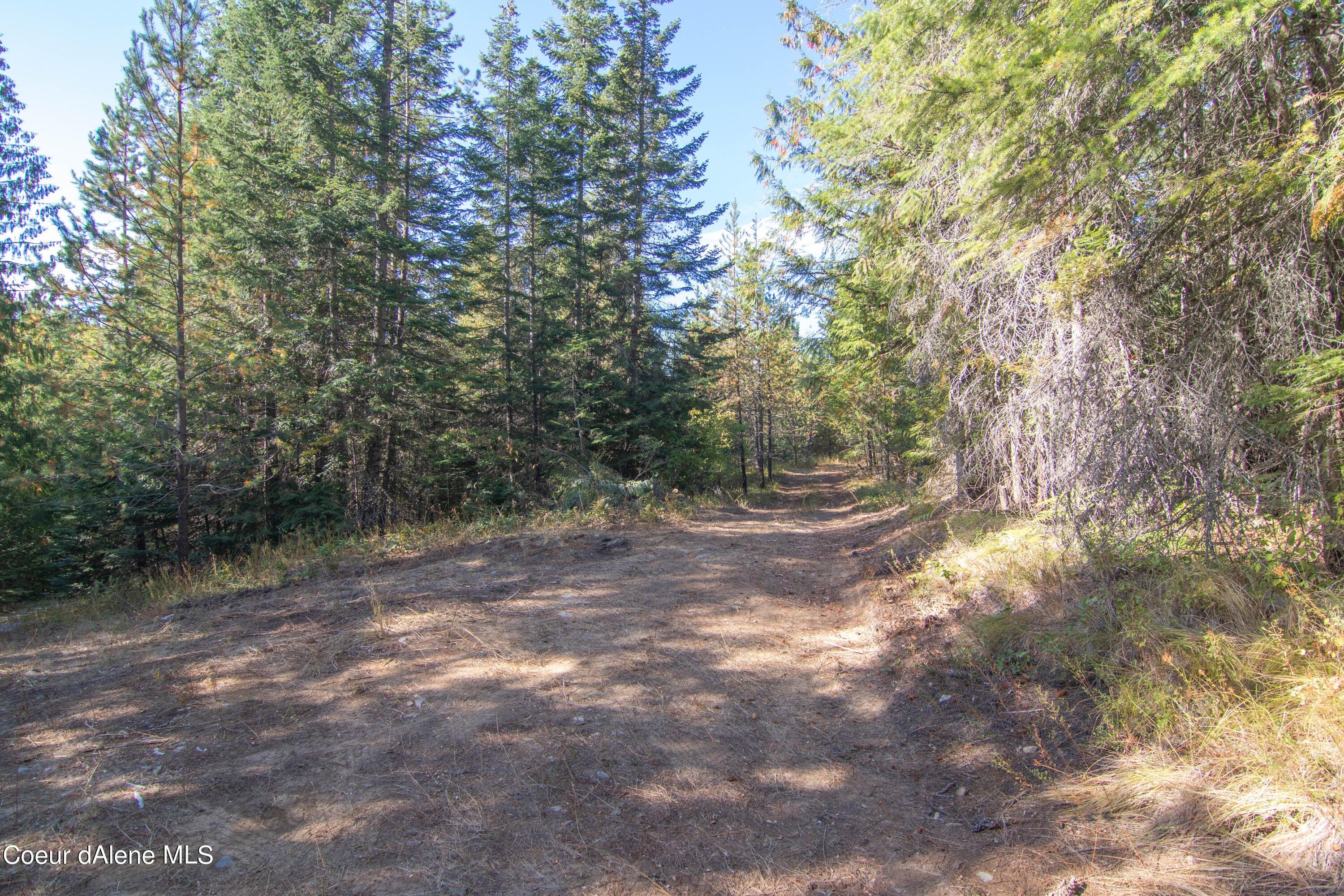 9.75 acres in Bonner County, Idaho