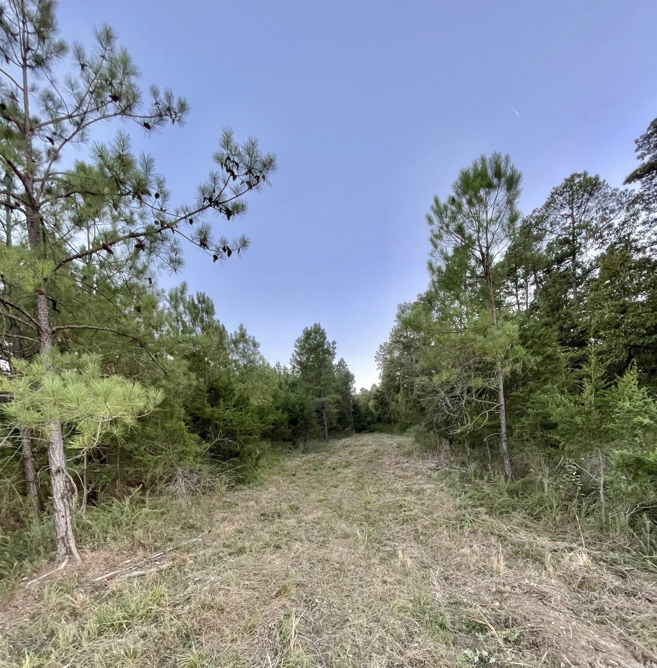 164 acres in Howard County, Arkansas