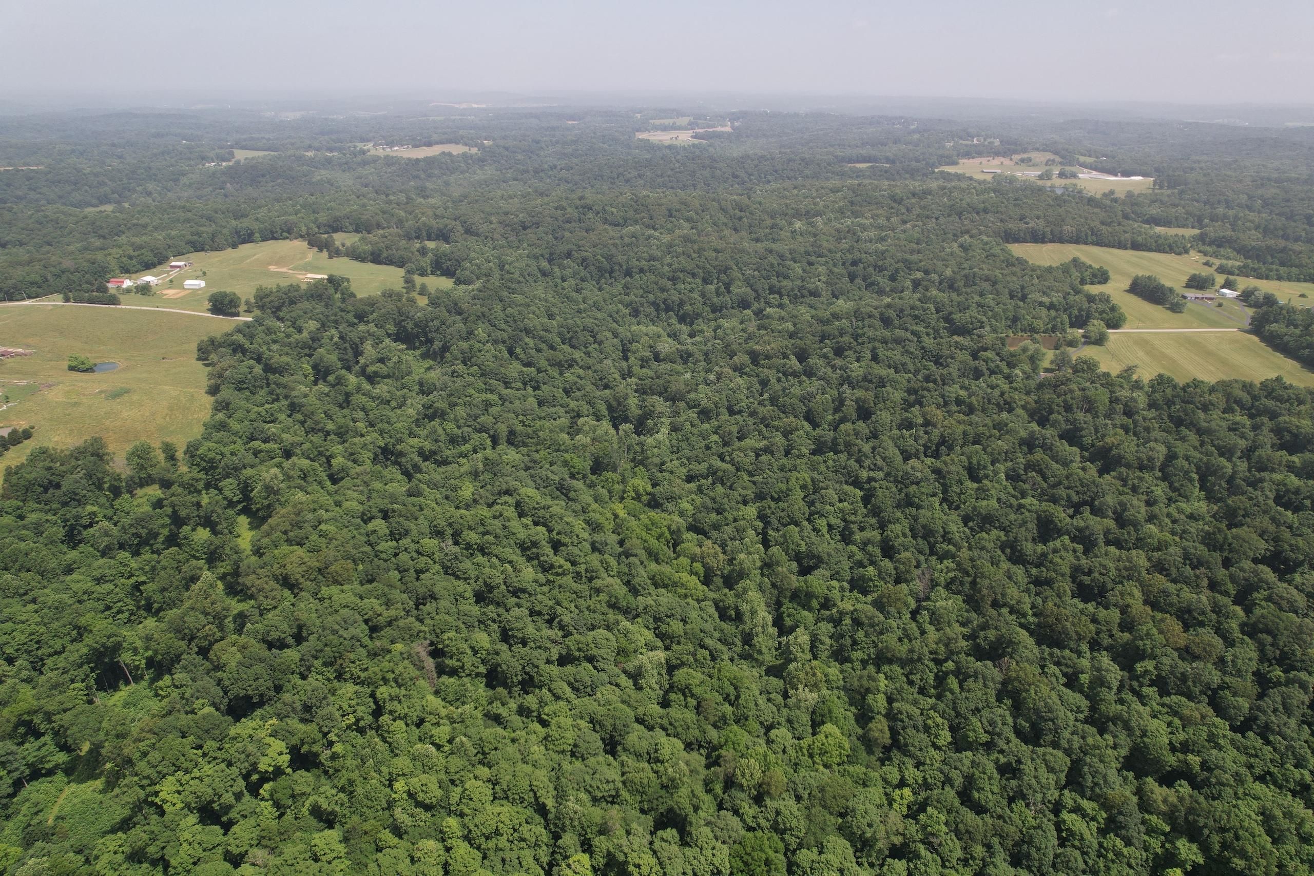 90.35 acres in Harrison County, Indiana