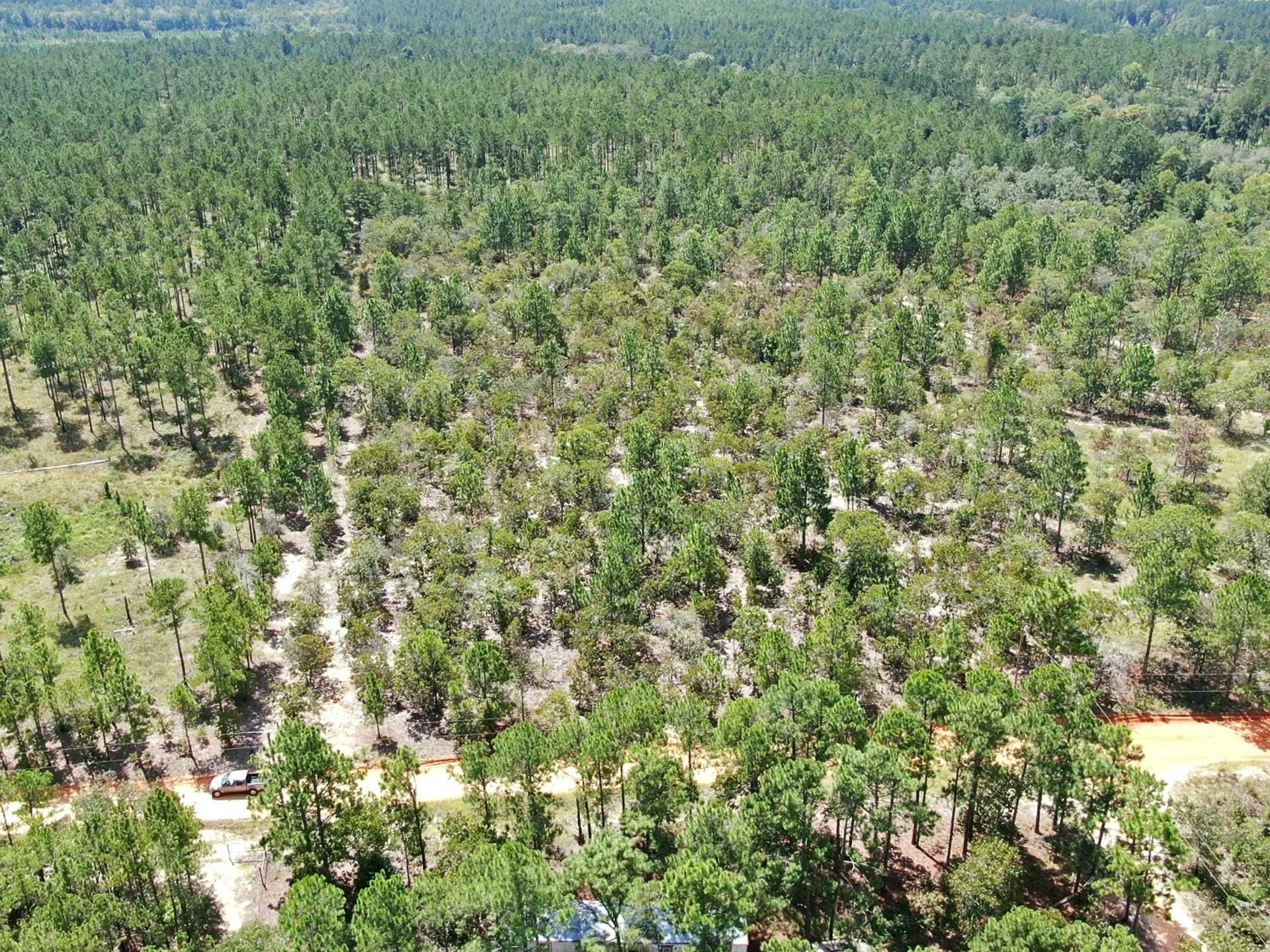 3.87 acres in Marion County,