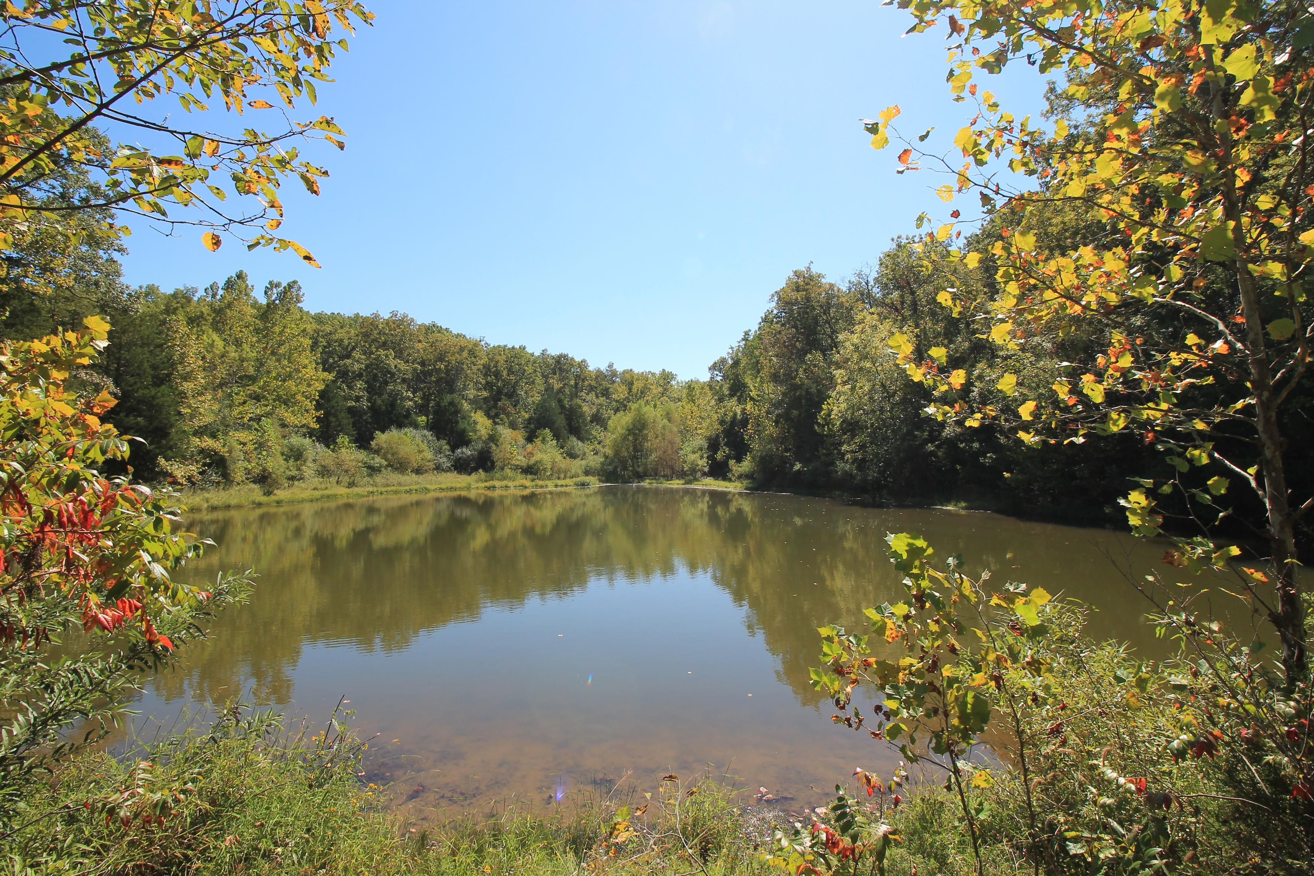 50 acres in Saint Francois County, Missouri