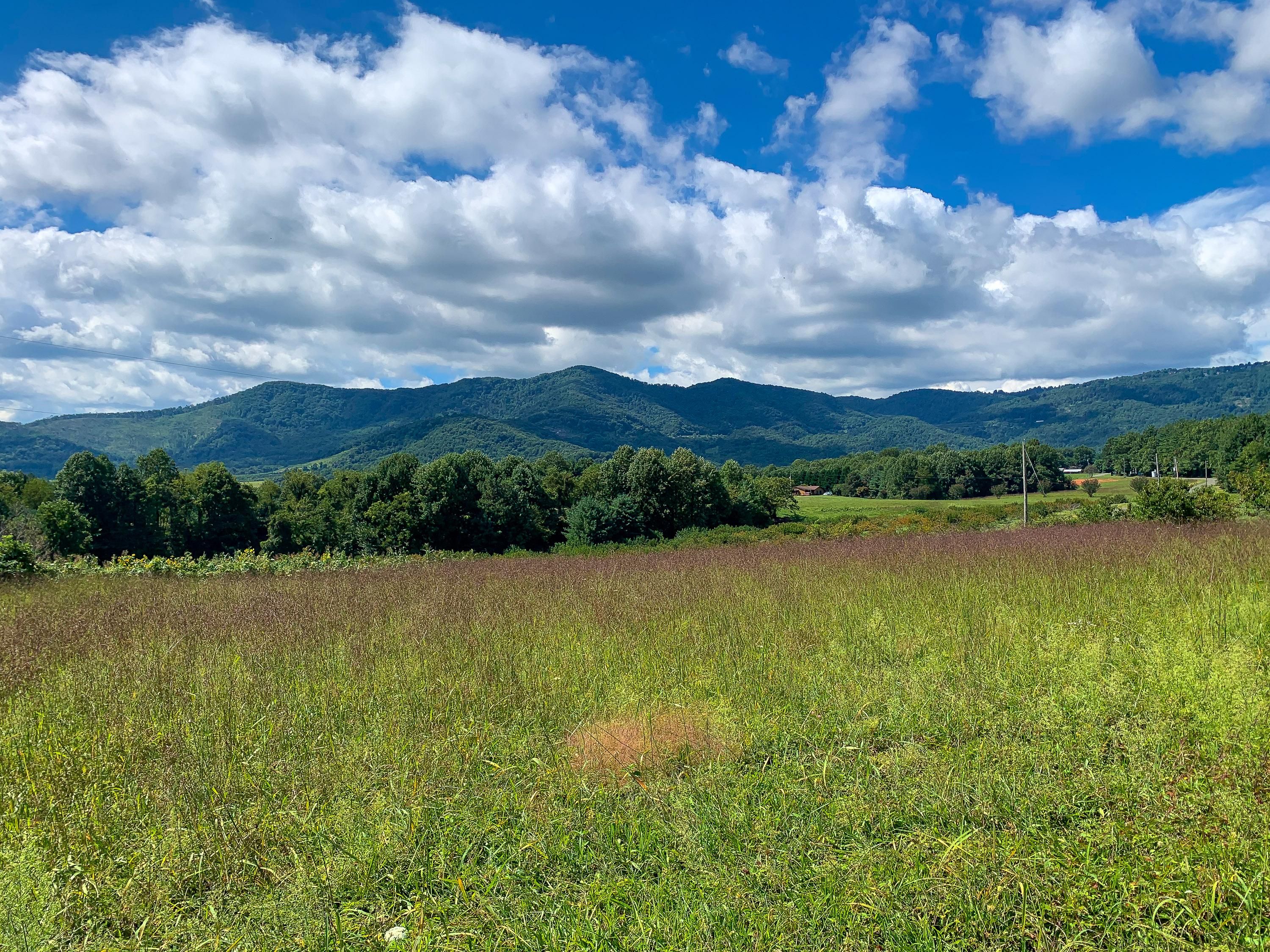 Apple Ridge Rd, Cana, VA 24317 MLS 84299