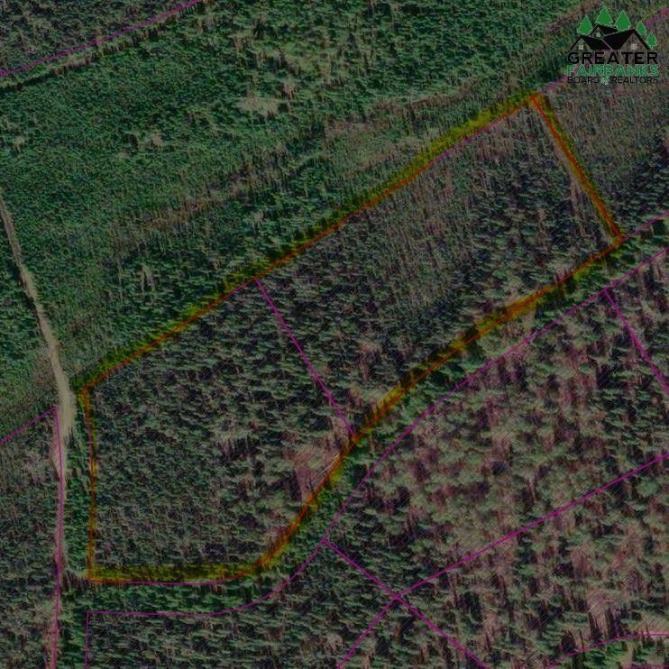 9.7 acres in Southeast Fairbanks Borough, Alaska