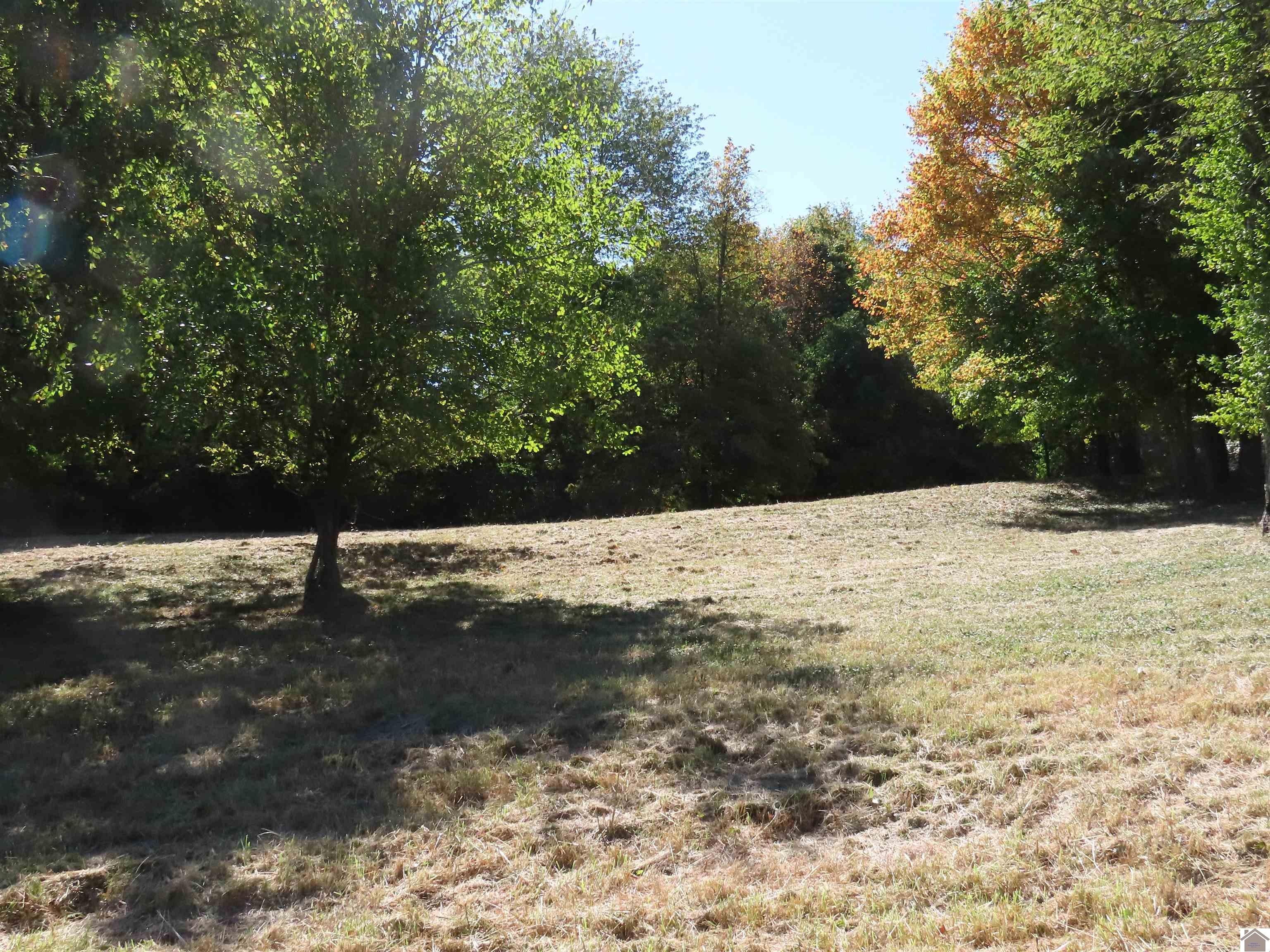 4 acres in Graves County, Kentucky