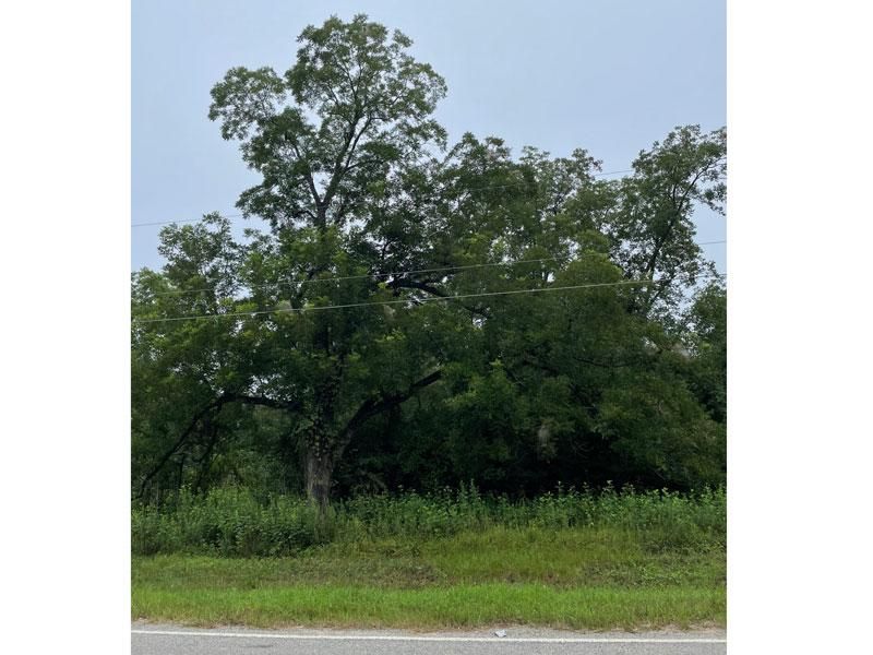 2.26 acres in Burke County,