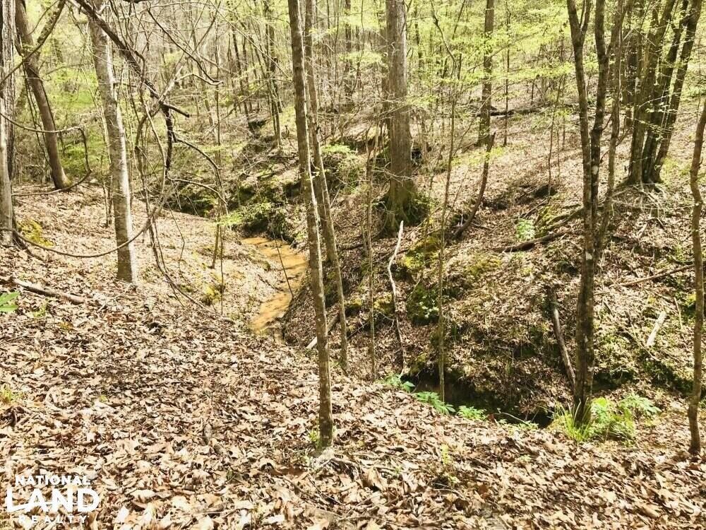 140 acres in Marion County,