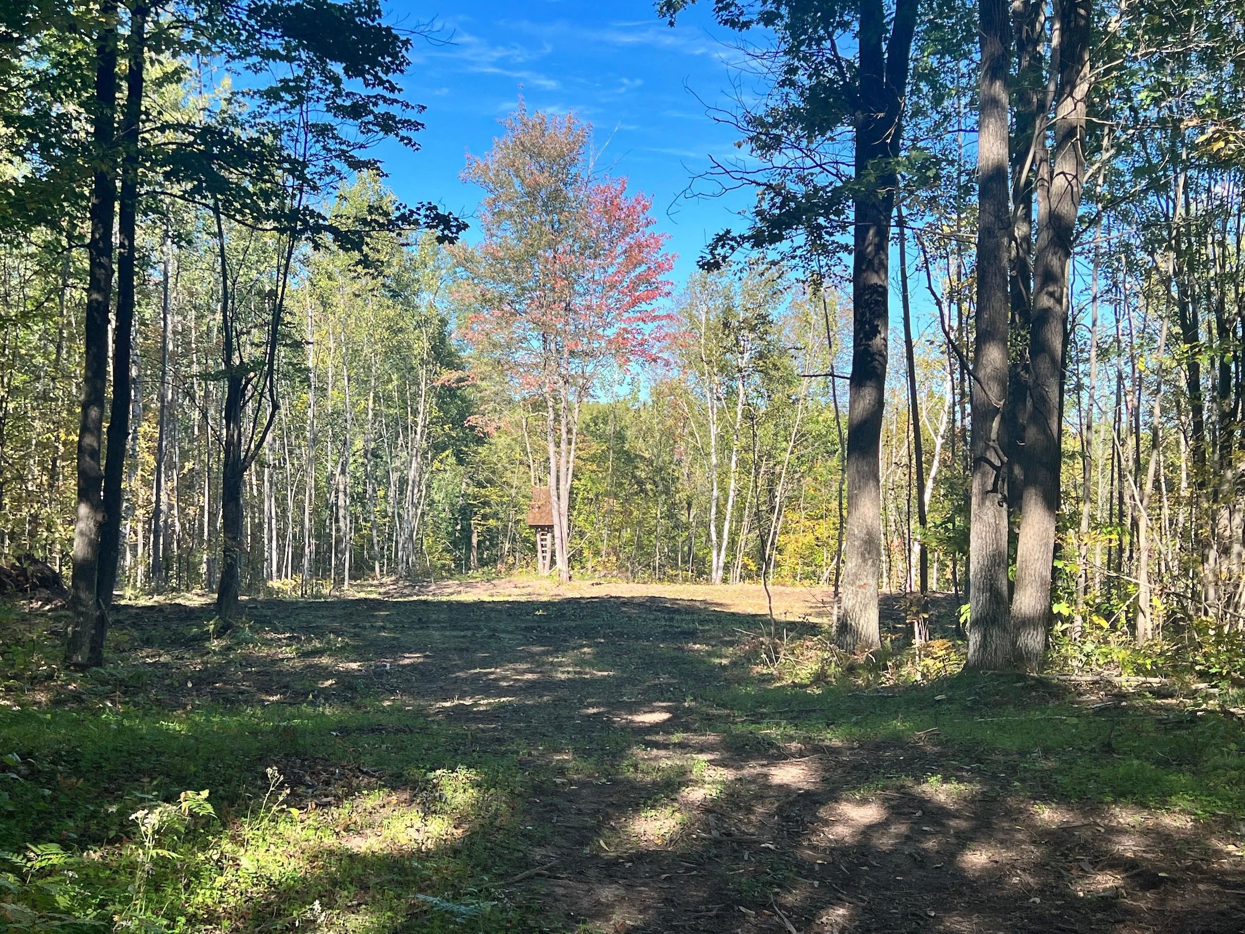 40 acres in Pine County, Minnesota