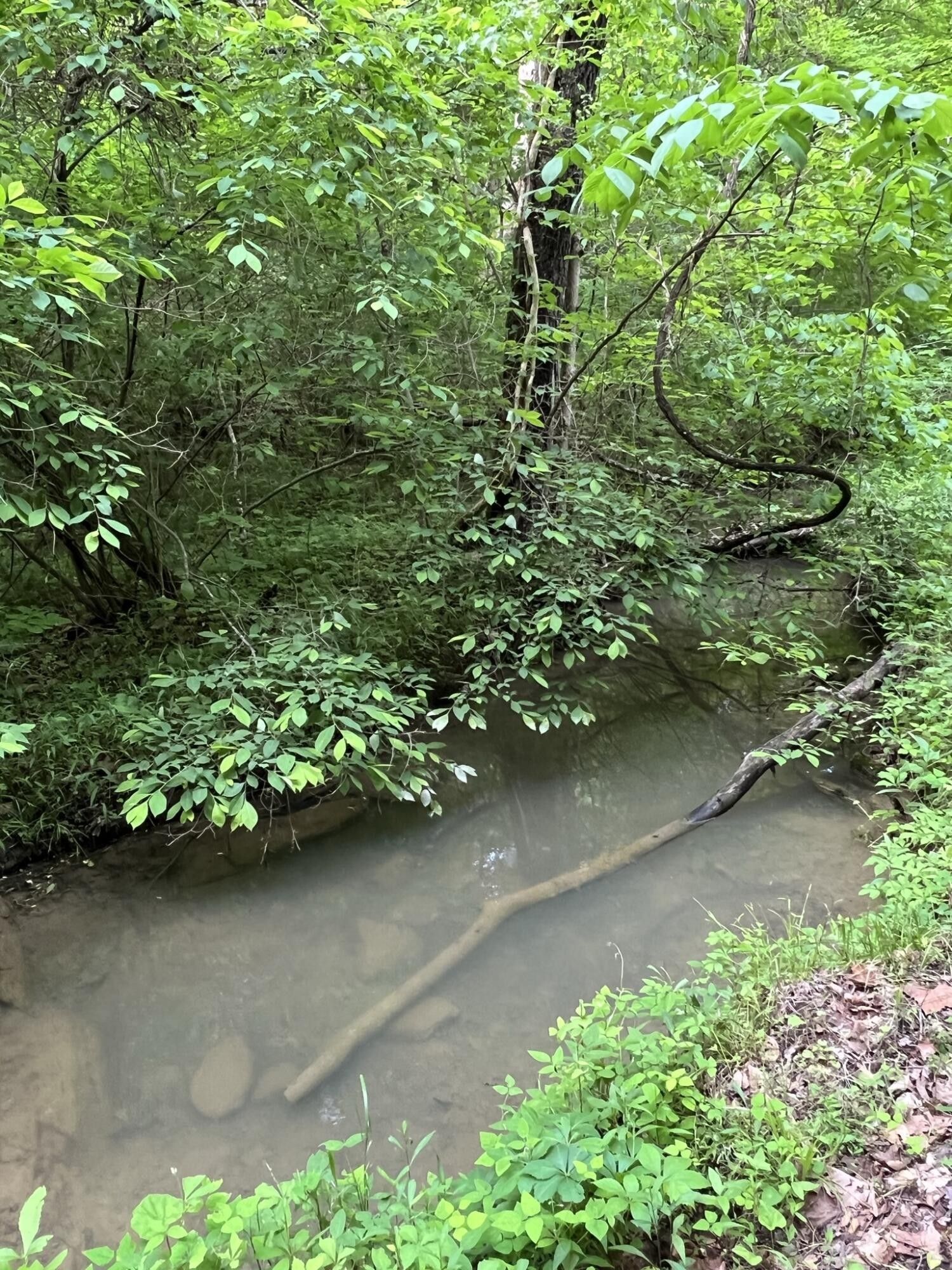 9.87 acres in Hawkins County, Tennessee