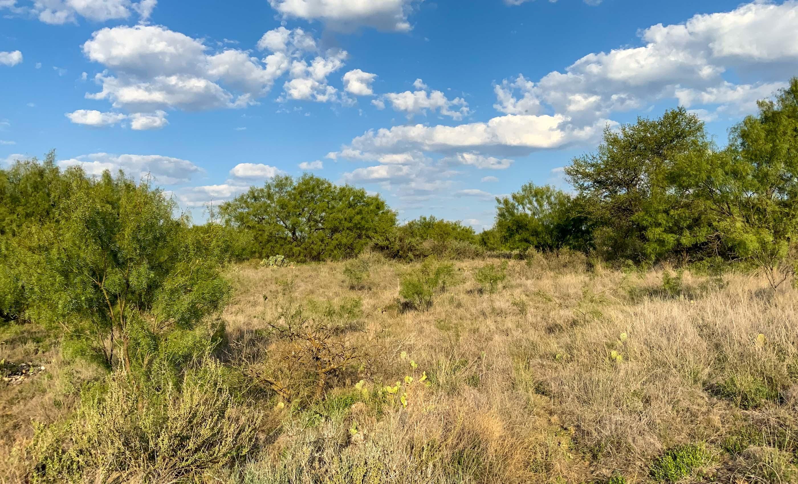 50 acres in Callahan County, Texas