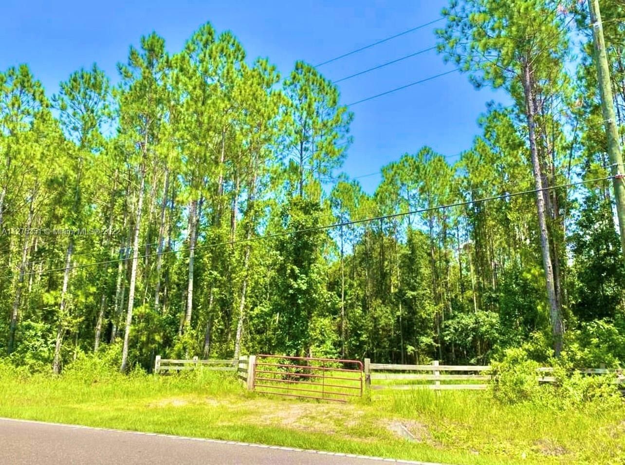 5 acres in Duval County, Florida