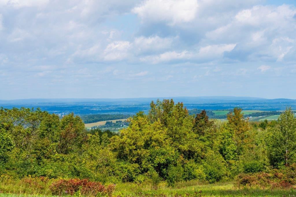 5 acres in Montgomery County, New York