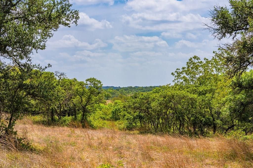 20 acres in Kendall County, Texas