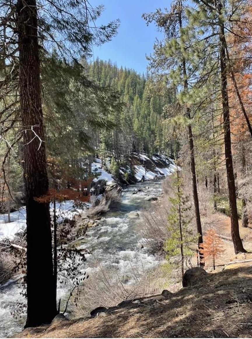 20 acres in Plumas County, California
