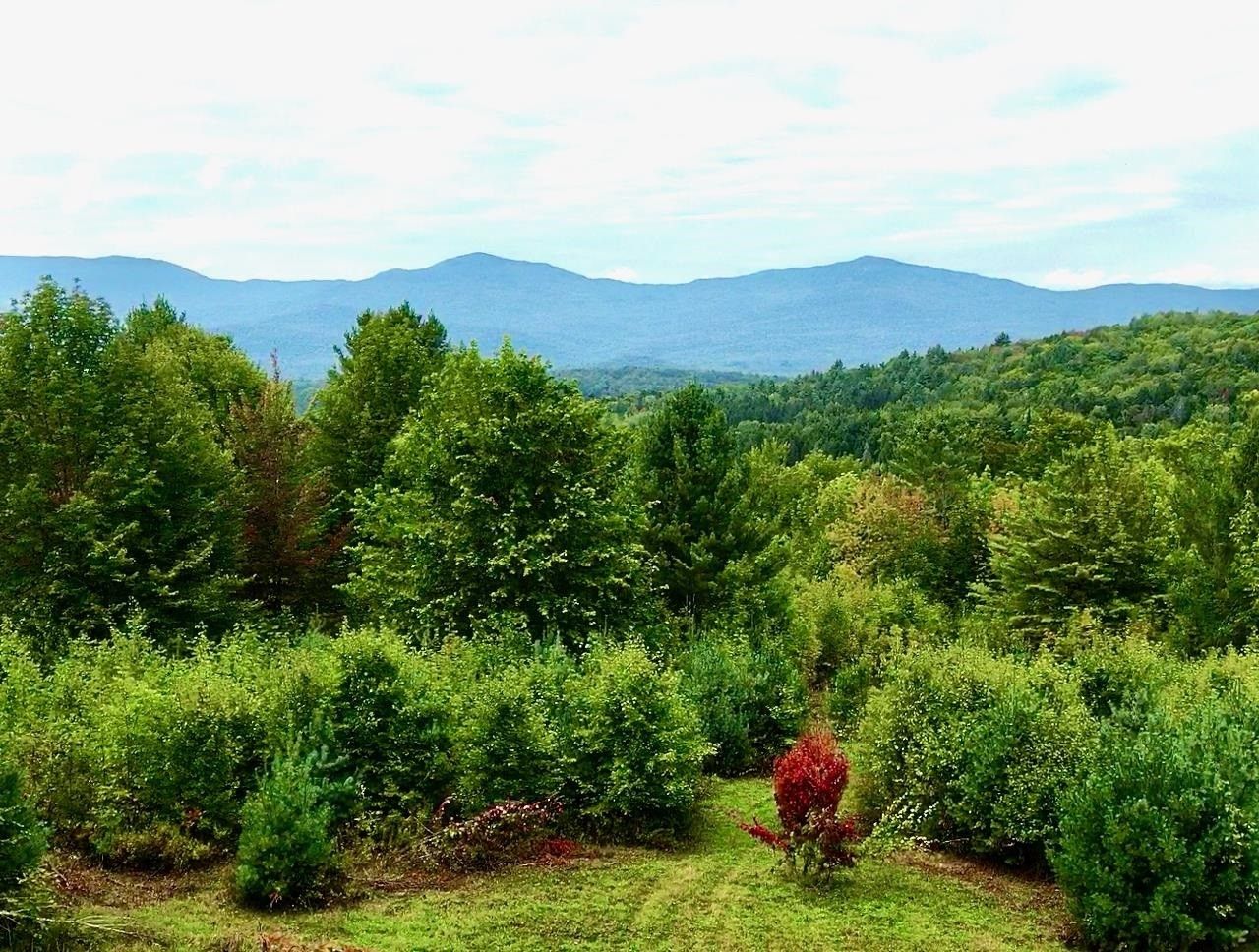 70 acres in Washington County, Vermont