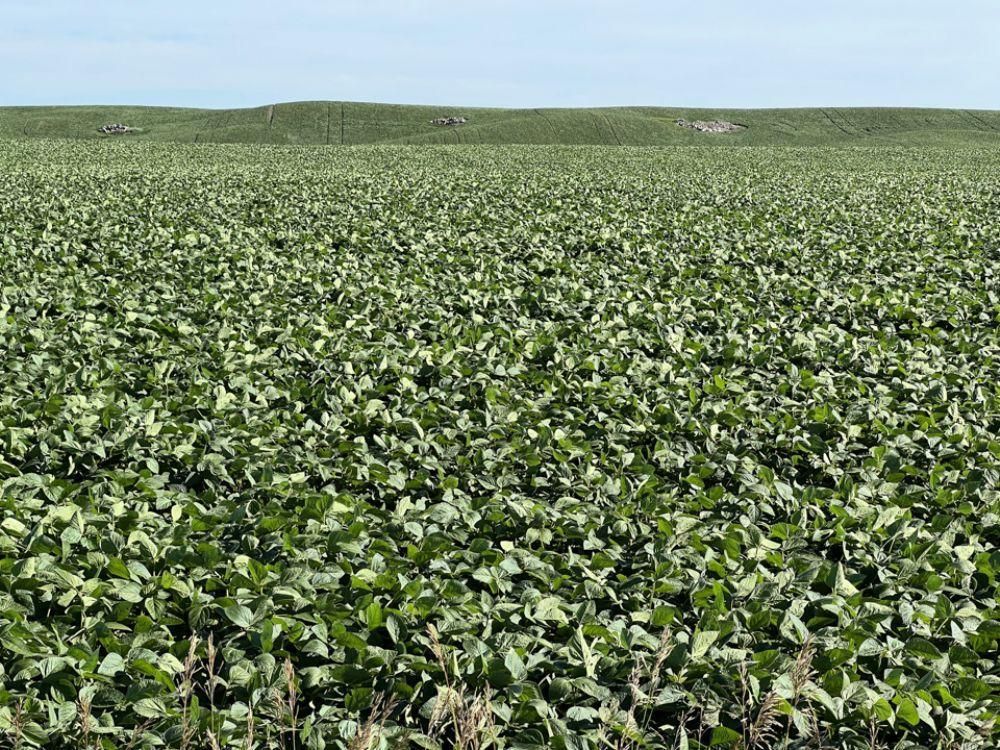 120 acres in Pierce County, North Dakota