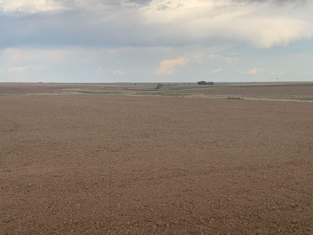 157 acres in Hodgeman County, Kansas