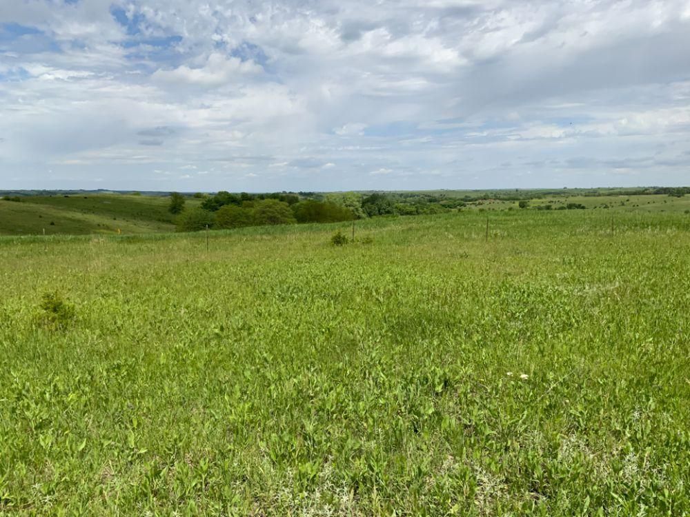 35.4 acres in Knox County, Nebraska