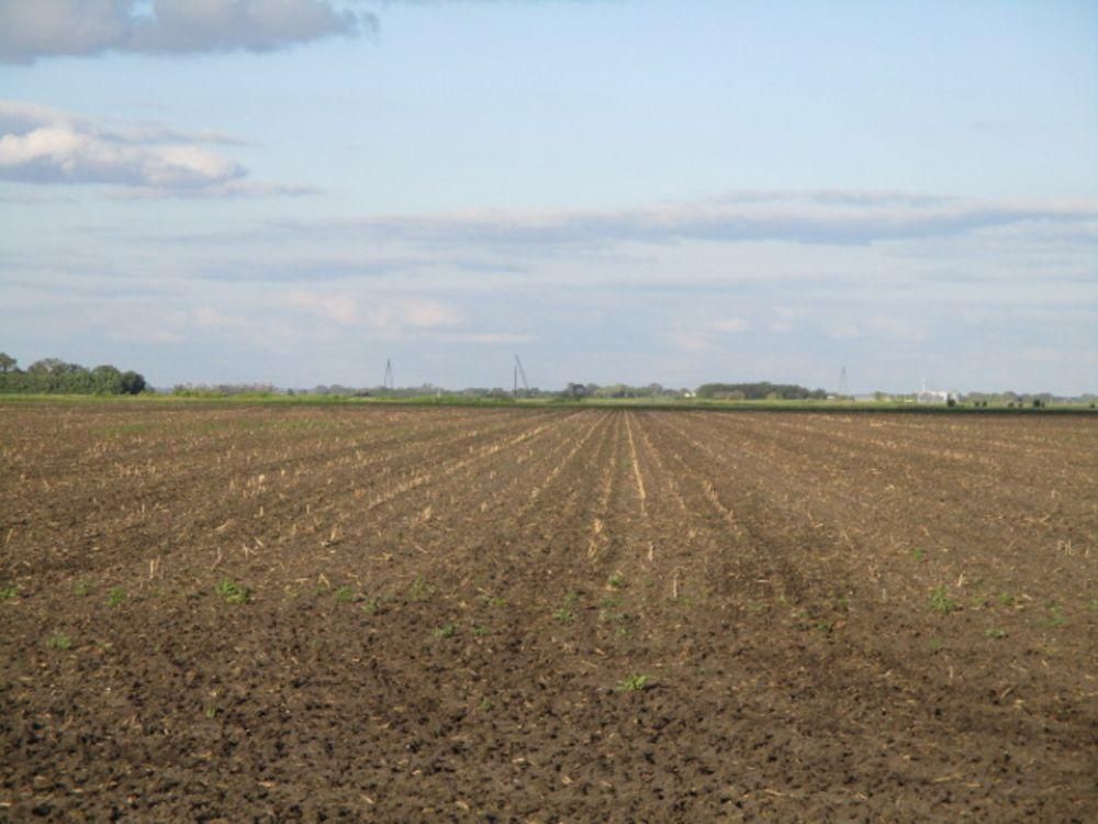 881.21 acres in Herman, MN,