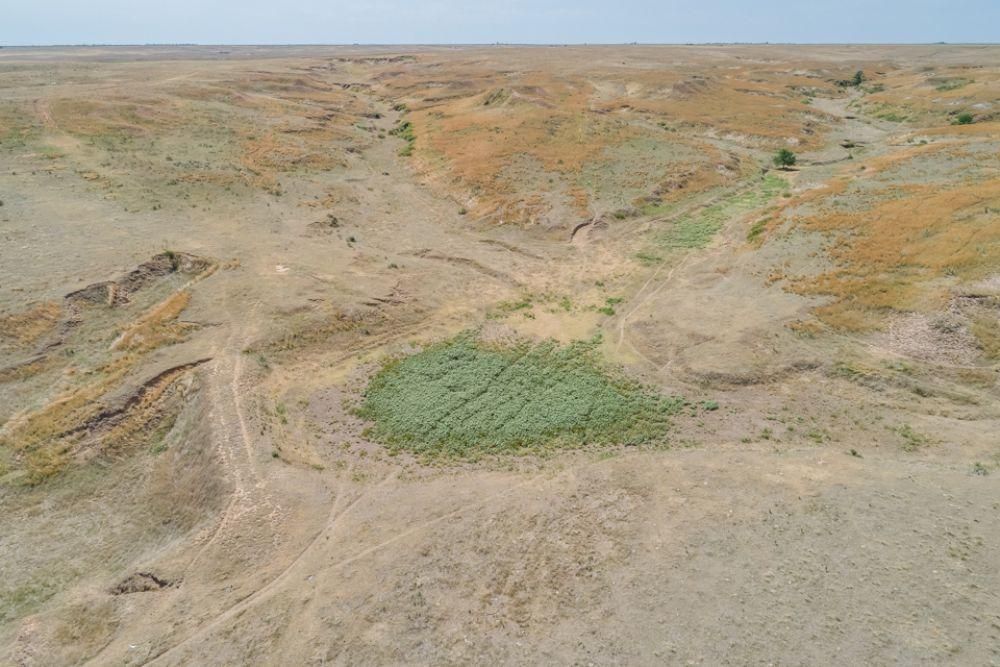 1,269.6 acres in Gray County, Texas