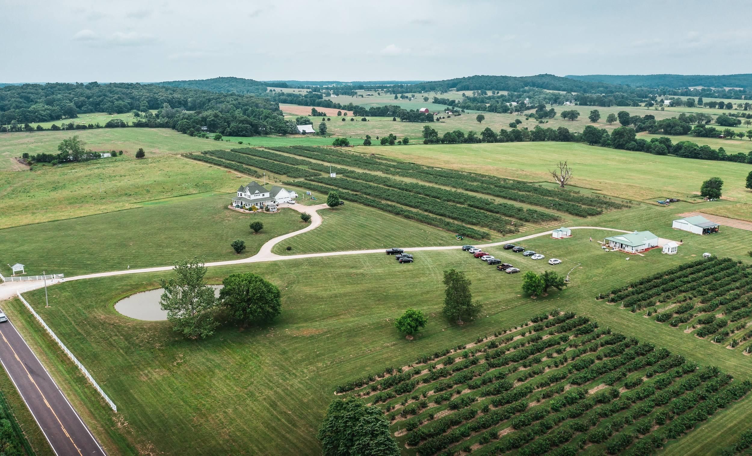 40 acres in Saint Francois County, Missouri