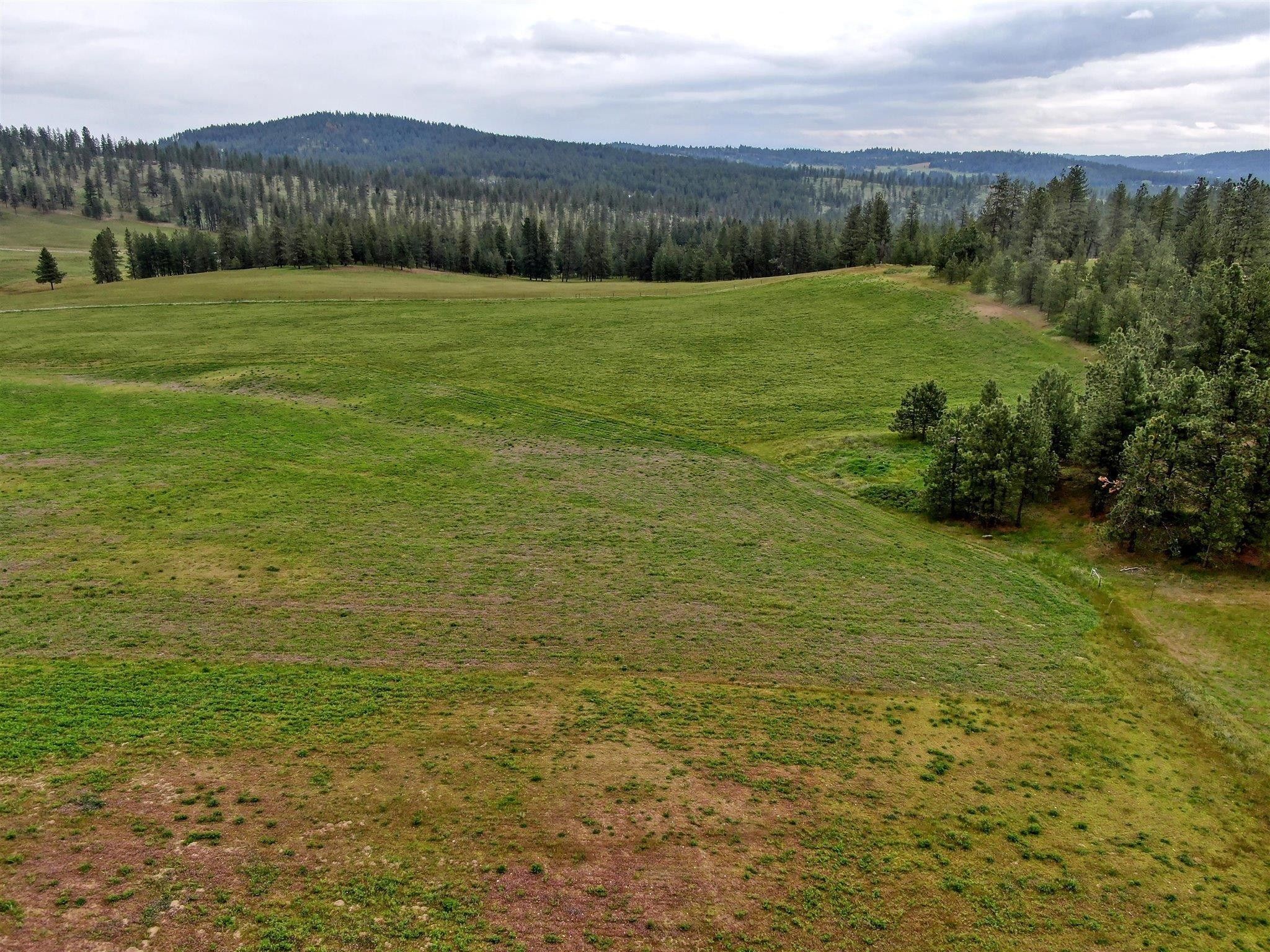 5 acres in Stevens County, Washington