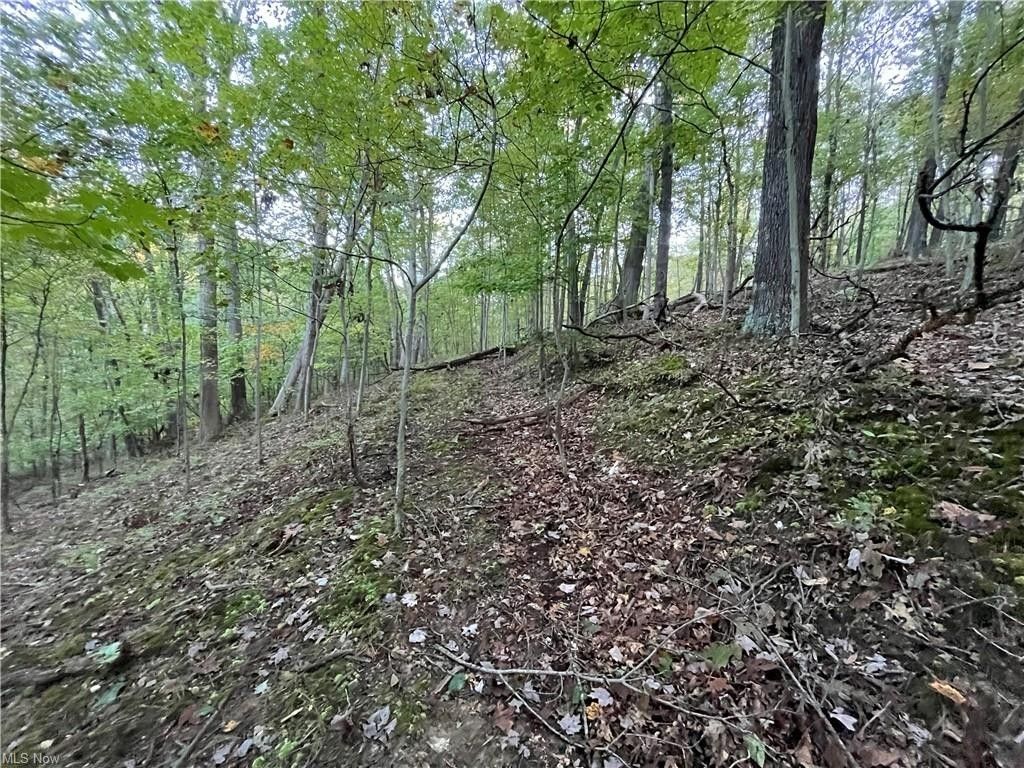 15 acres in Holmes County, Ohio