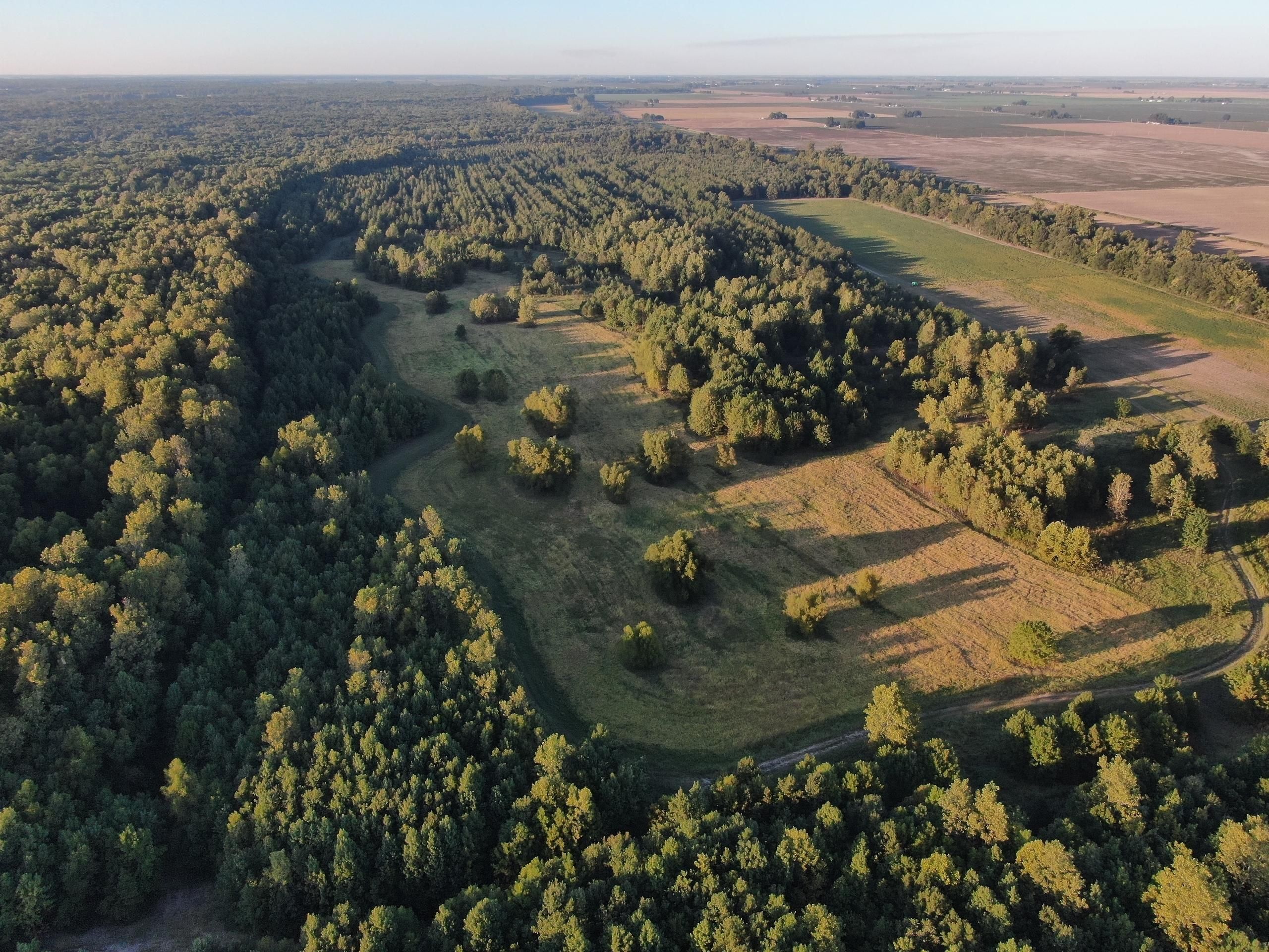 600 acres in Craighead County, Arkansas