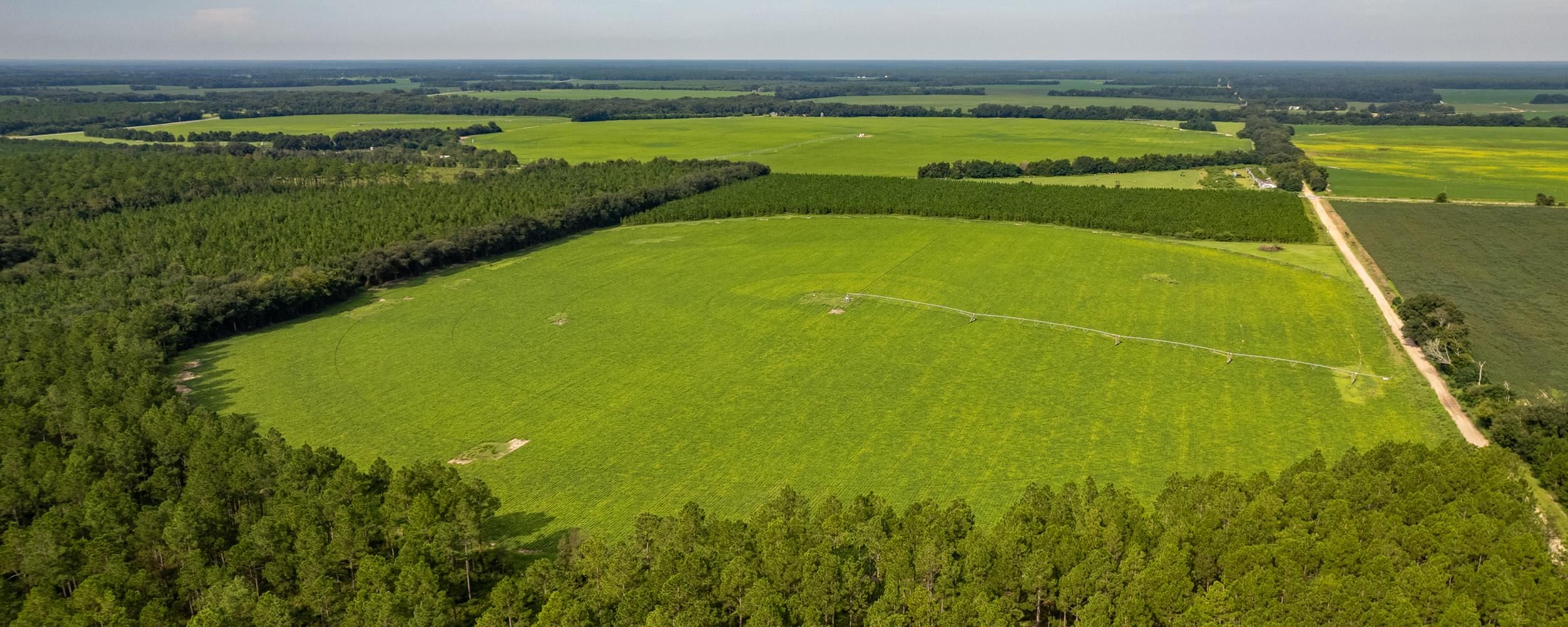 5009 97, Camilla, GA 31730