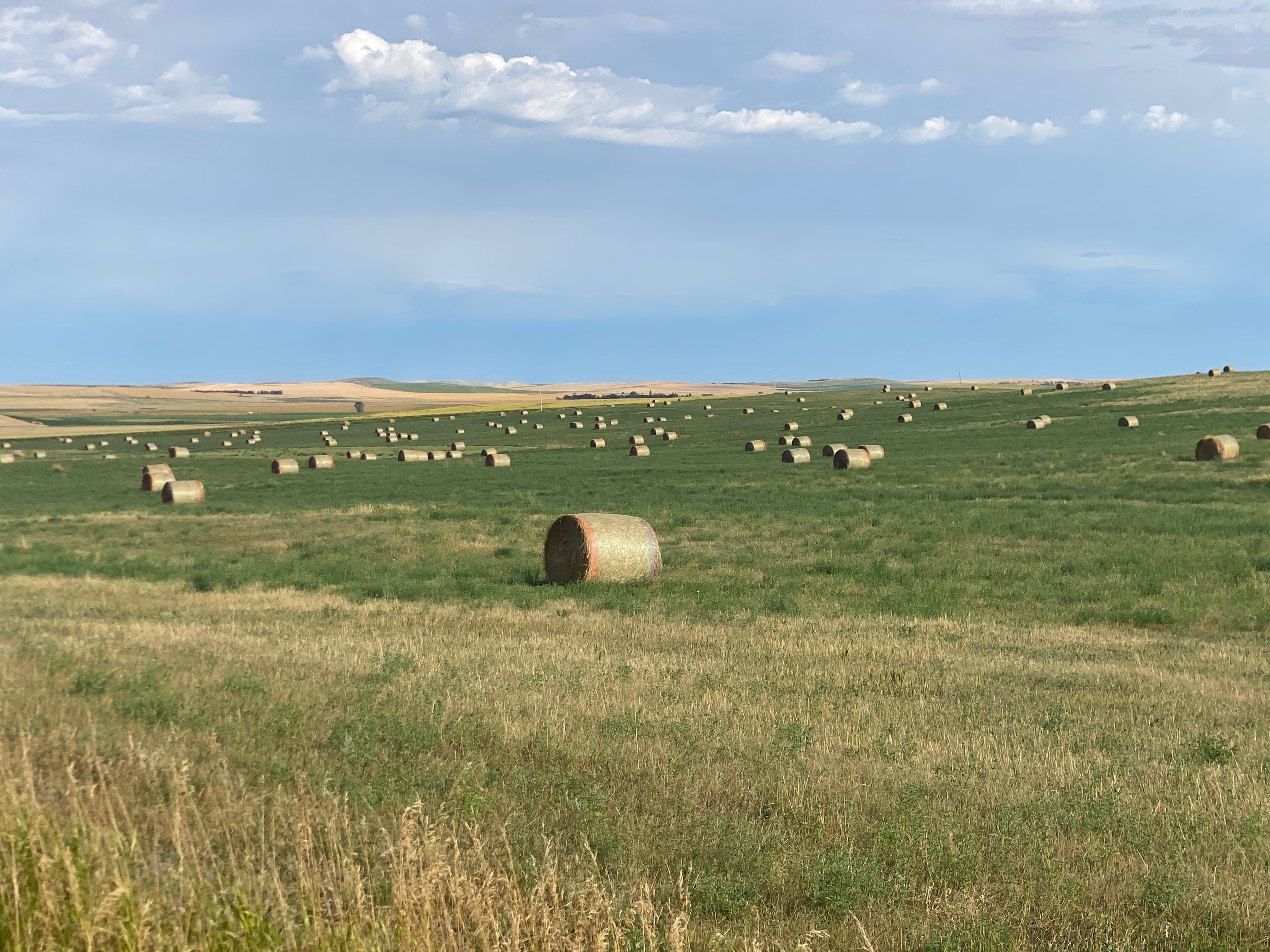 134.59 acres in Hettinger County, North Dakota