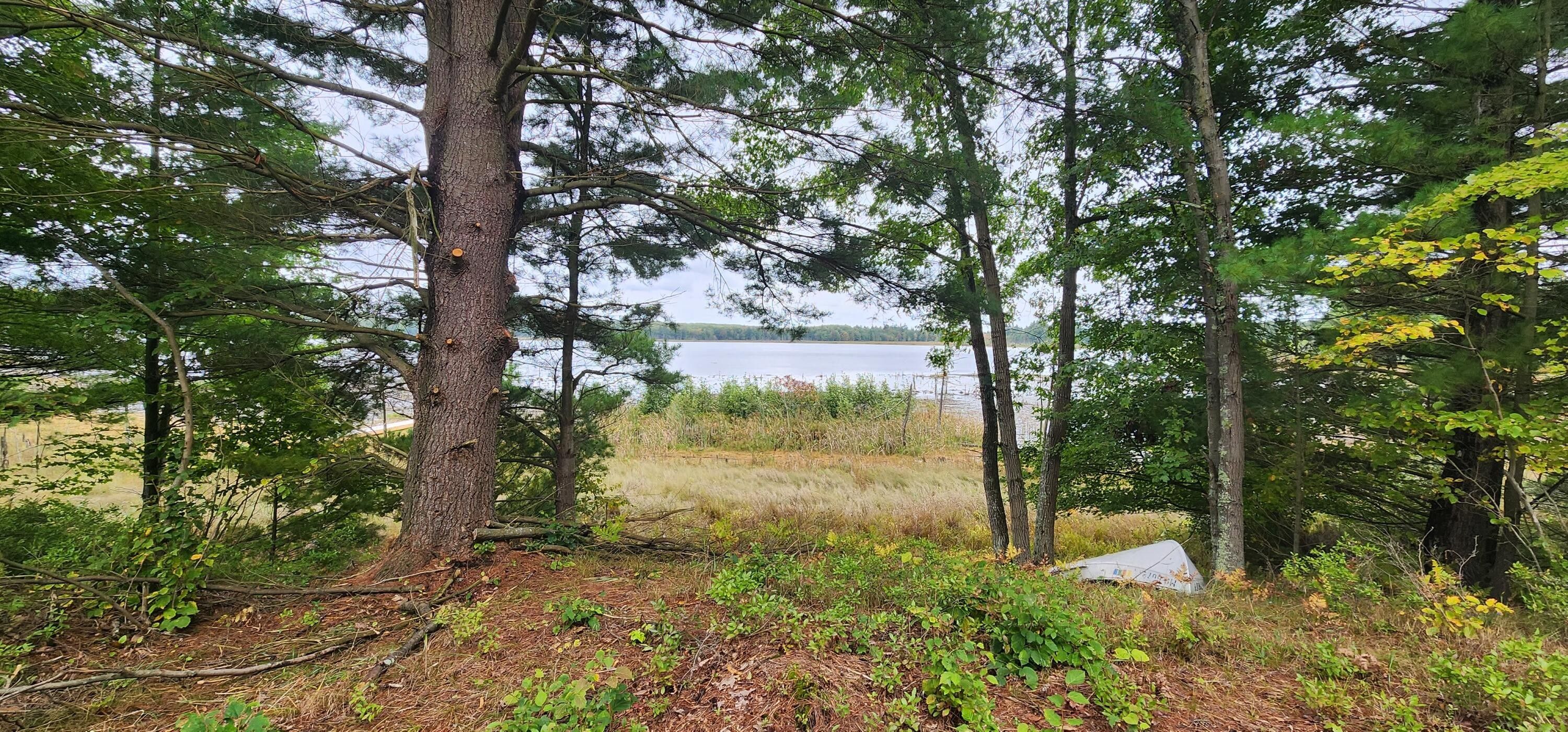 13.1 acres in Lake County, Michigan