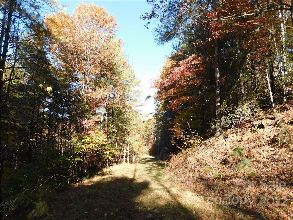 13 acres in Caldwell County, North Carolina