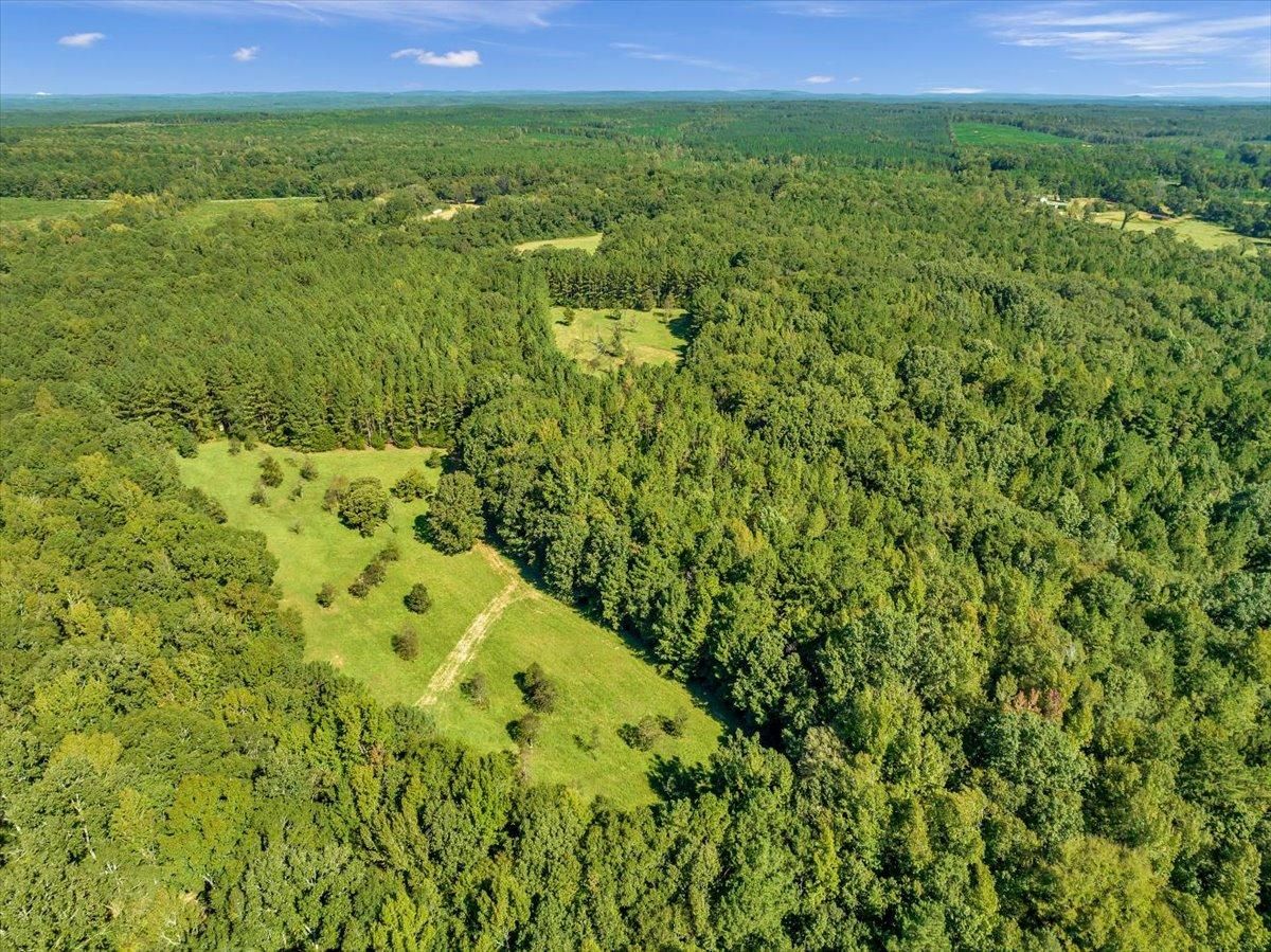 358 acres in Talbot County,