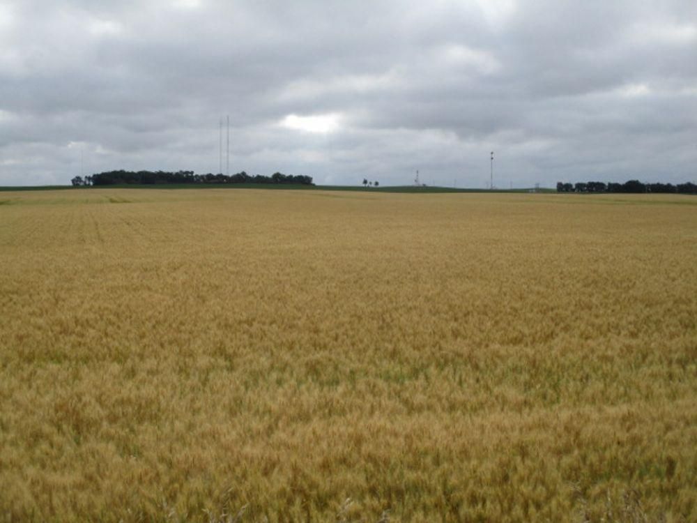 80 acres in Barnes County, North Dakota