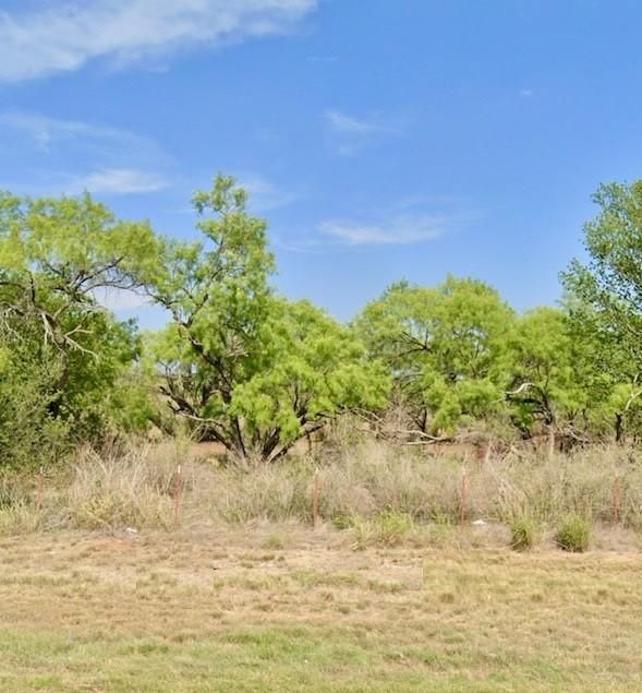 22.98 acres in San Saba, TX, 76877