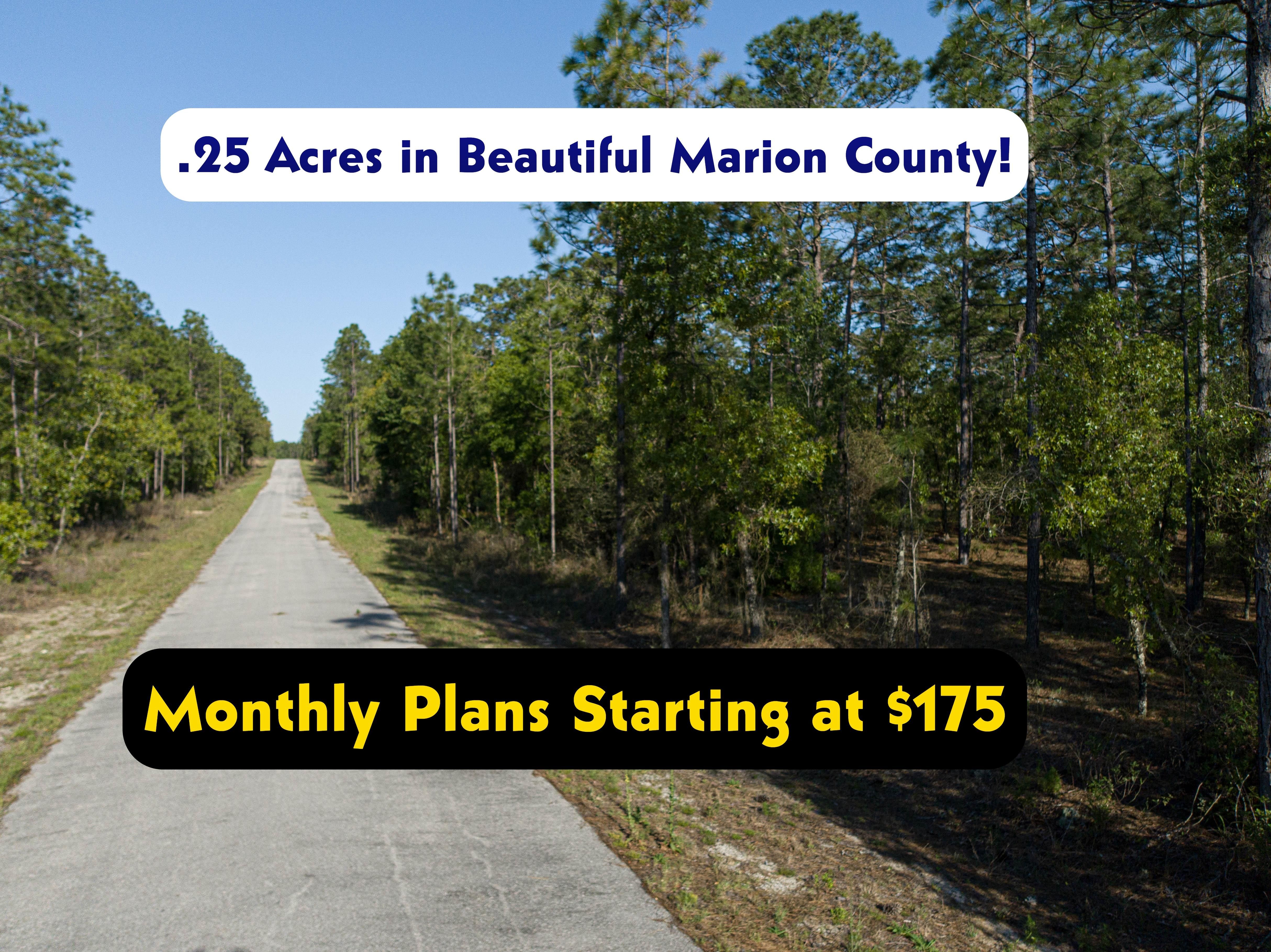 0.25 acres in Marion County, Florida