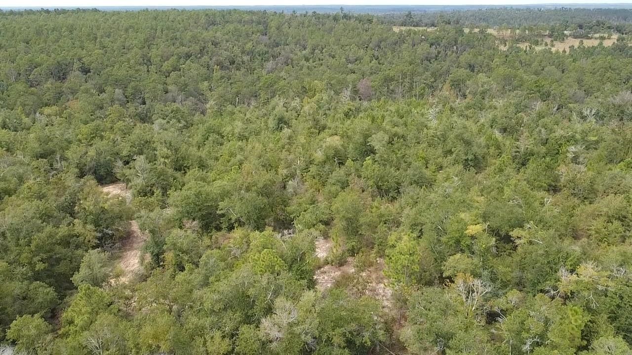 33.22 acres in Liberty County, Florida