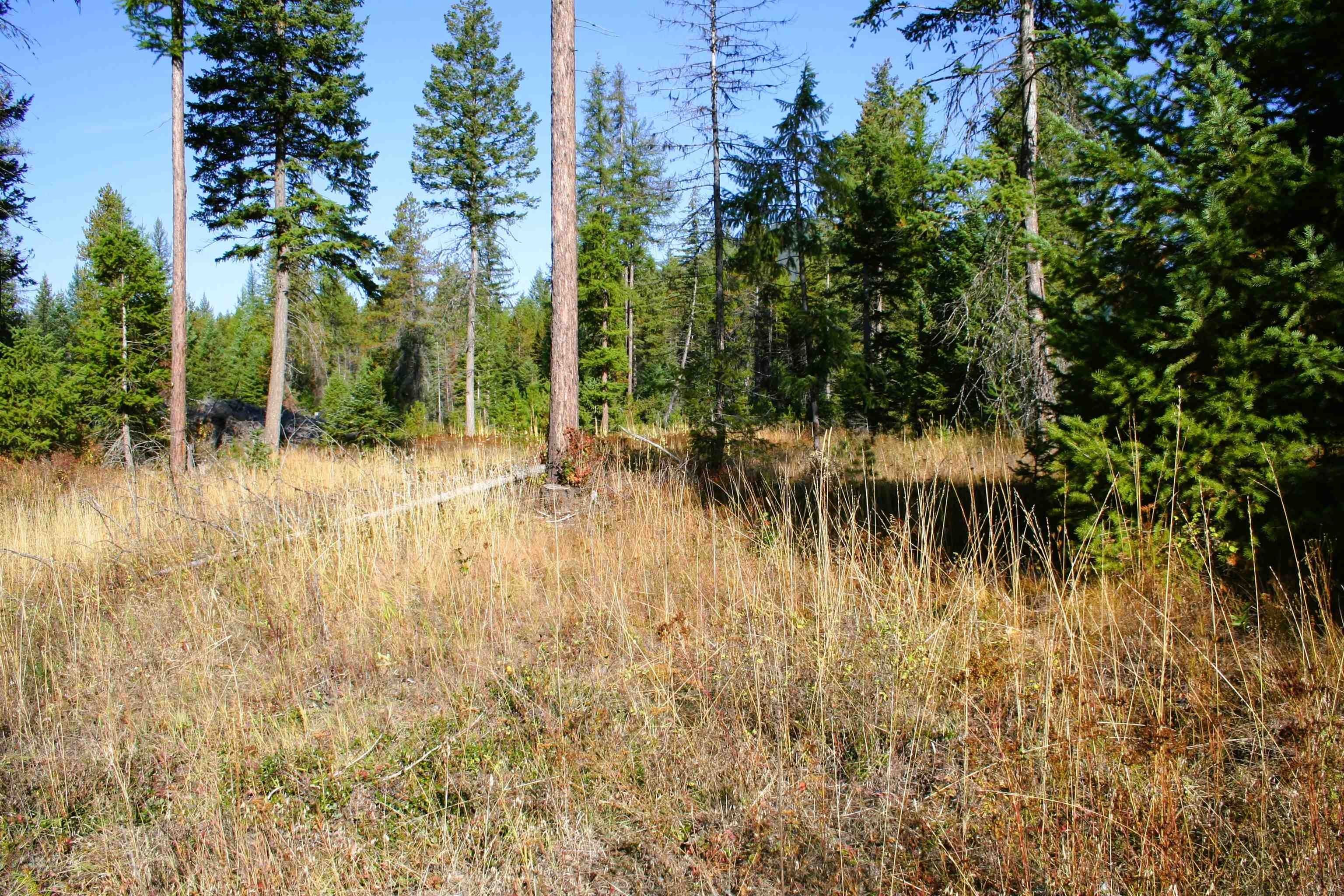 10 acres in Stevens County, Washington